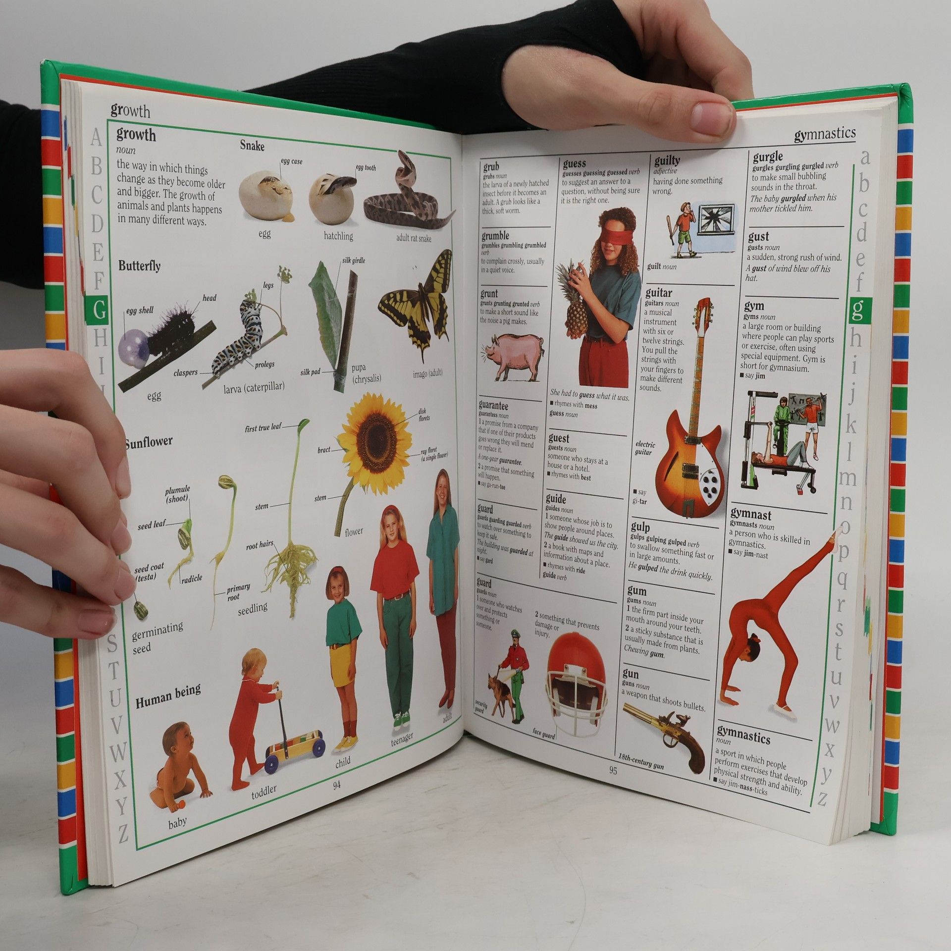 John McIlwain The Reader's Digest Children's Illustrated Dictionary