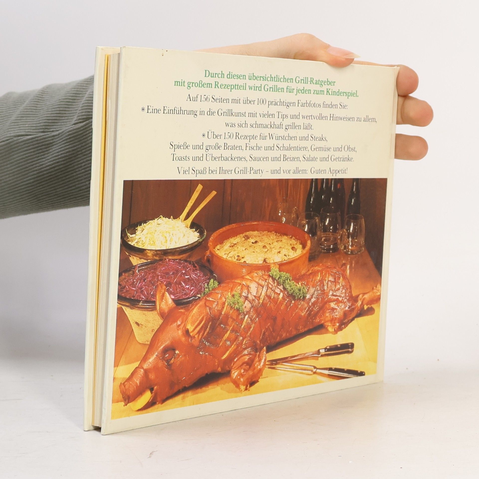 Autores varios So macht Grillen richtig Spaß