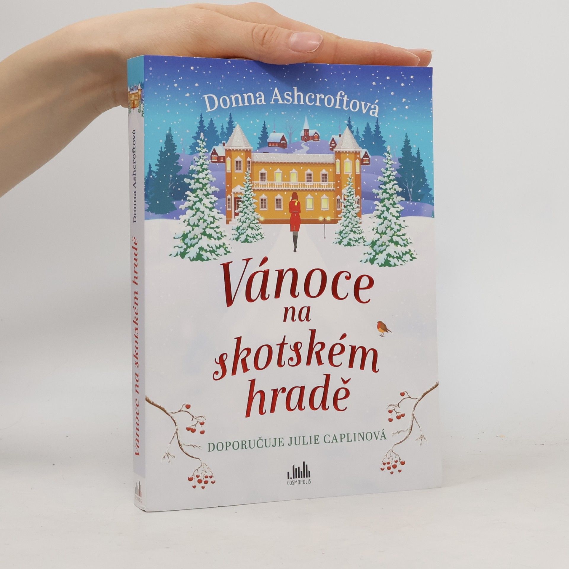 Donna Ashcroft Vánoce na skotském hradě