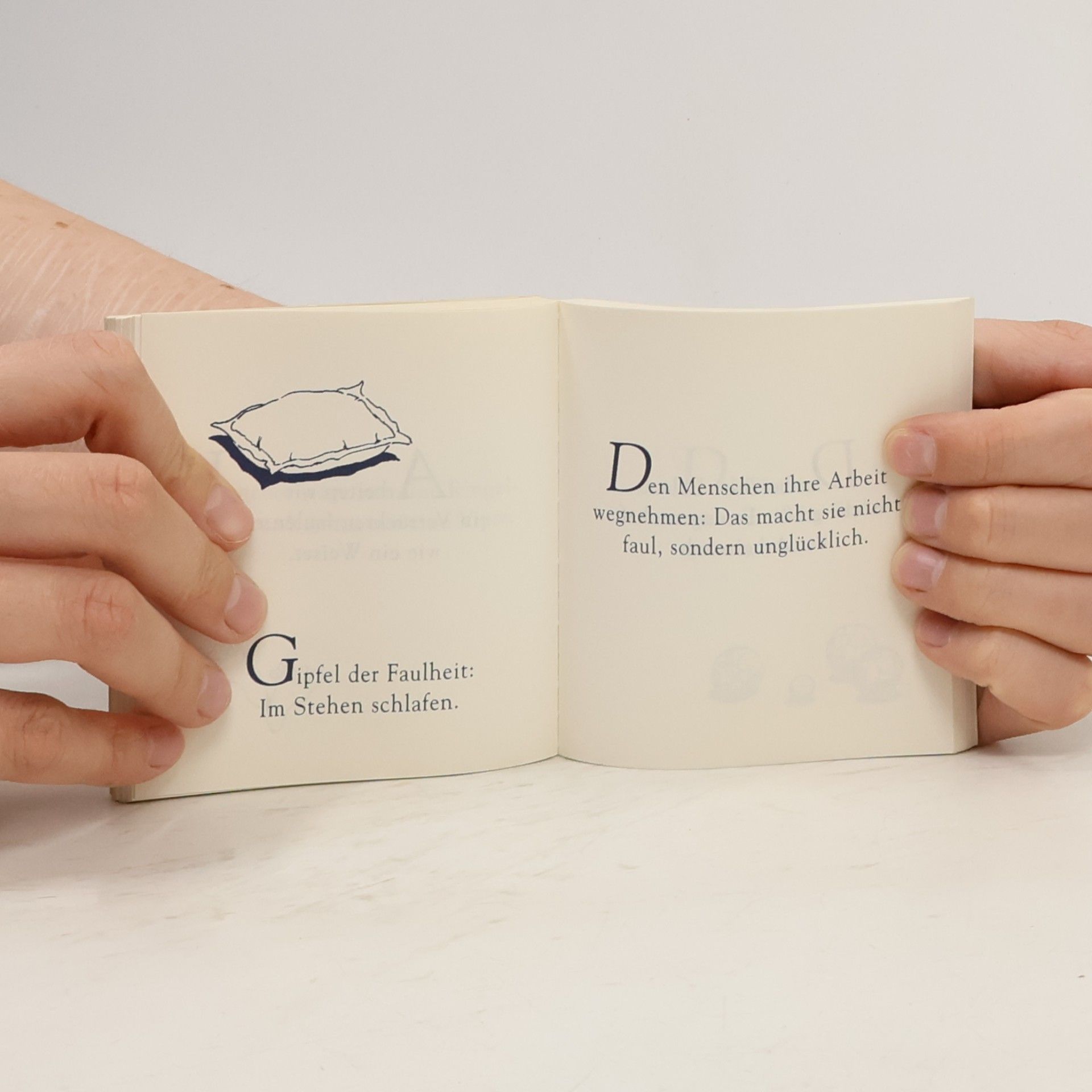Jack Chaboud Das kleine Buch der Faulheit