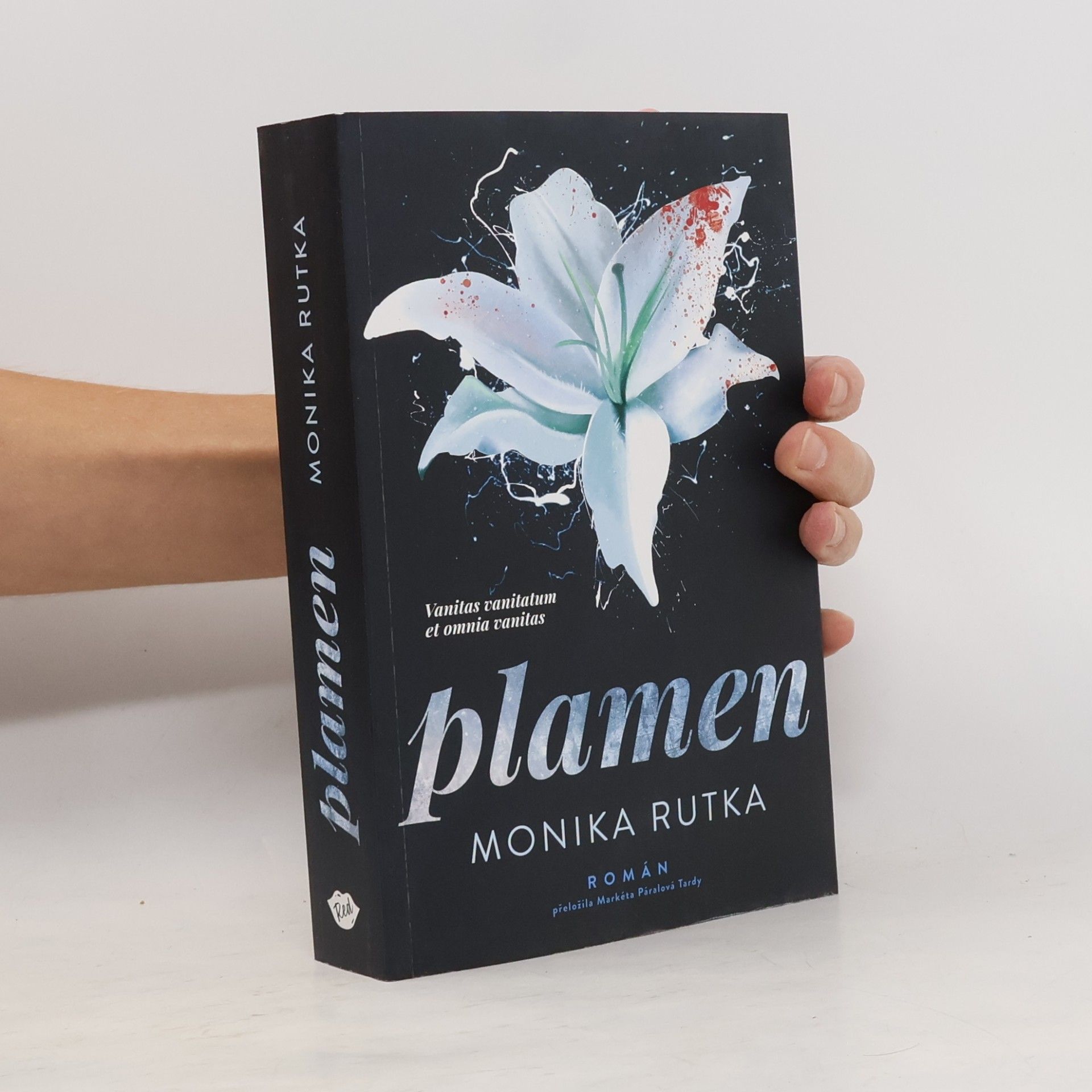 Plamen