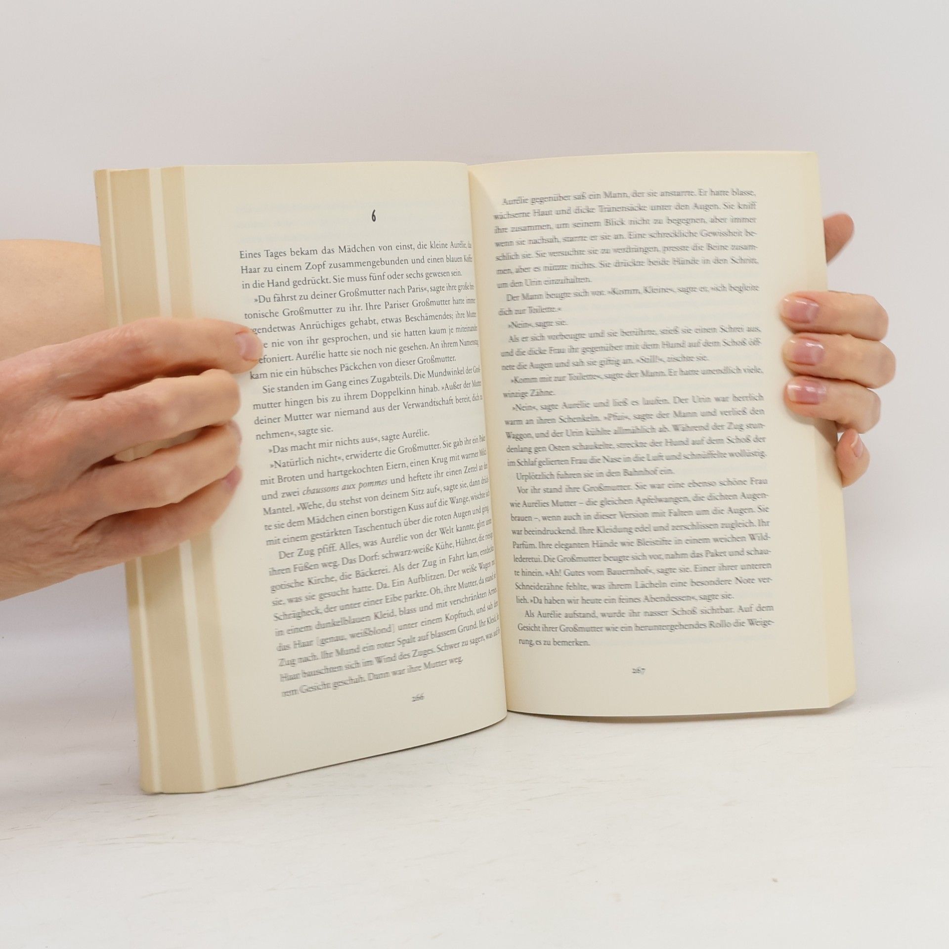 Lauren Groff Licht und Zorn