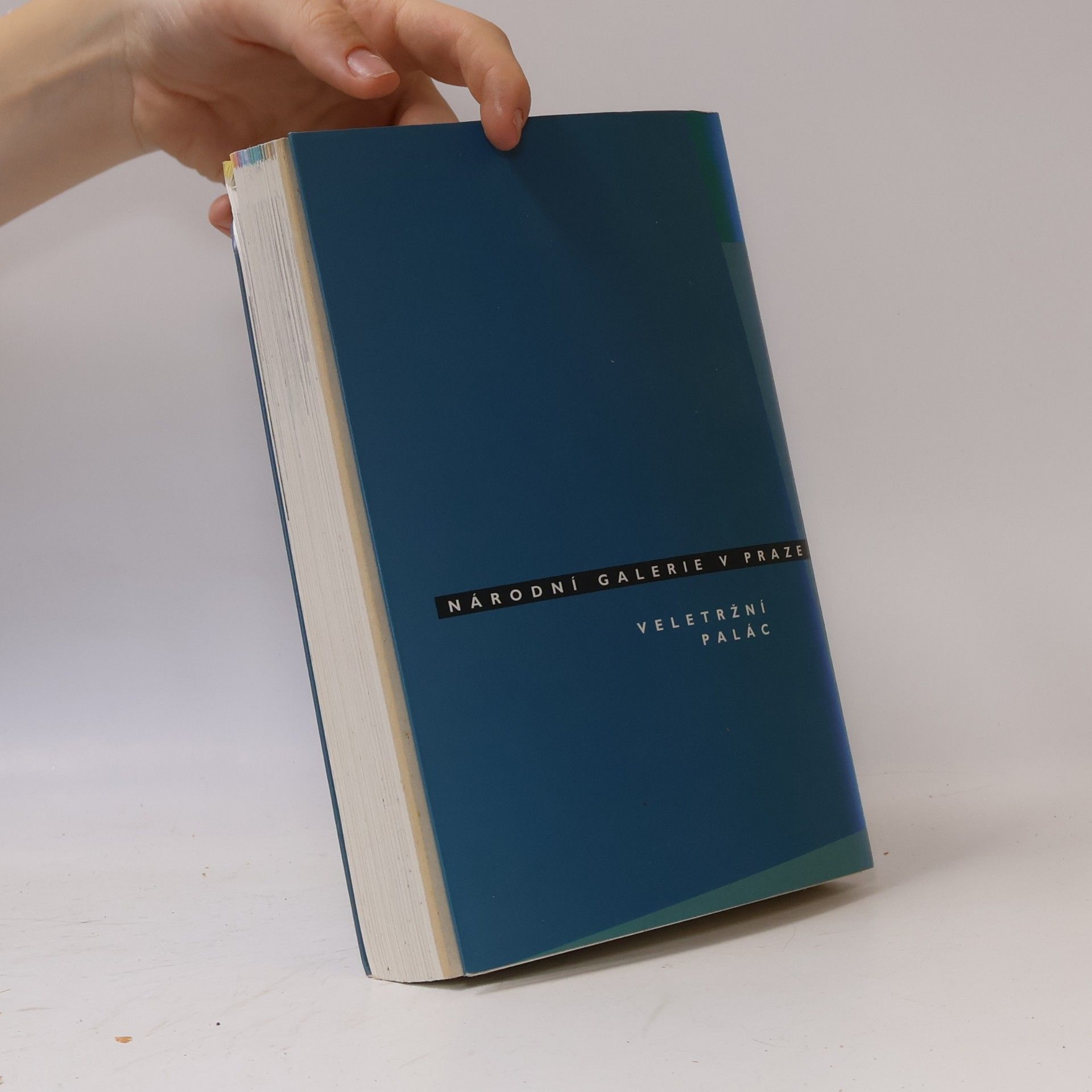 Autorenkollektiv České moderní umění 1900-1960 (katalog stálé expozice)