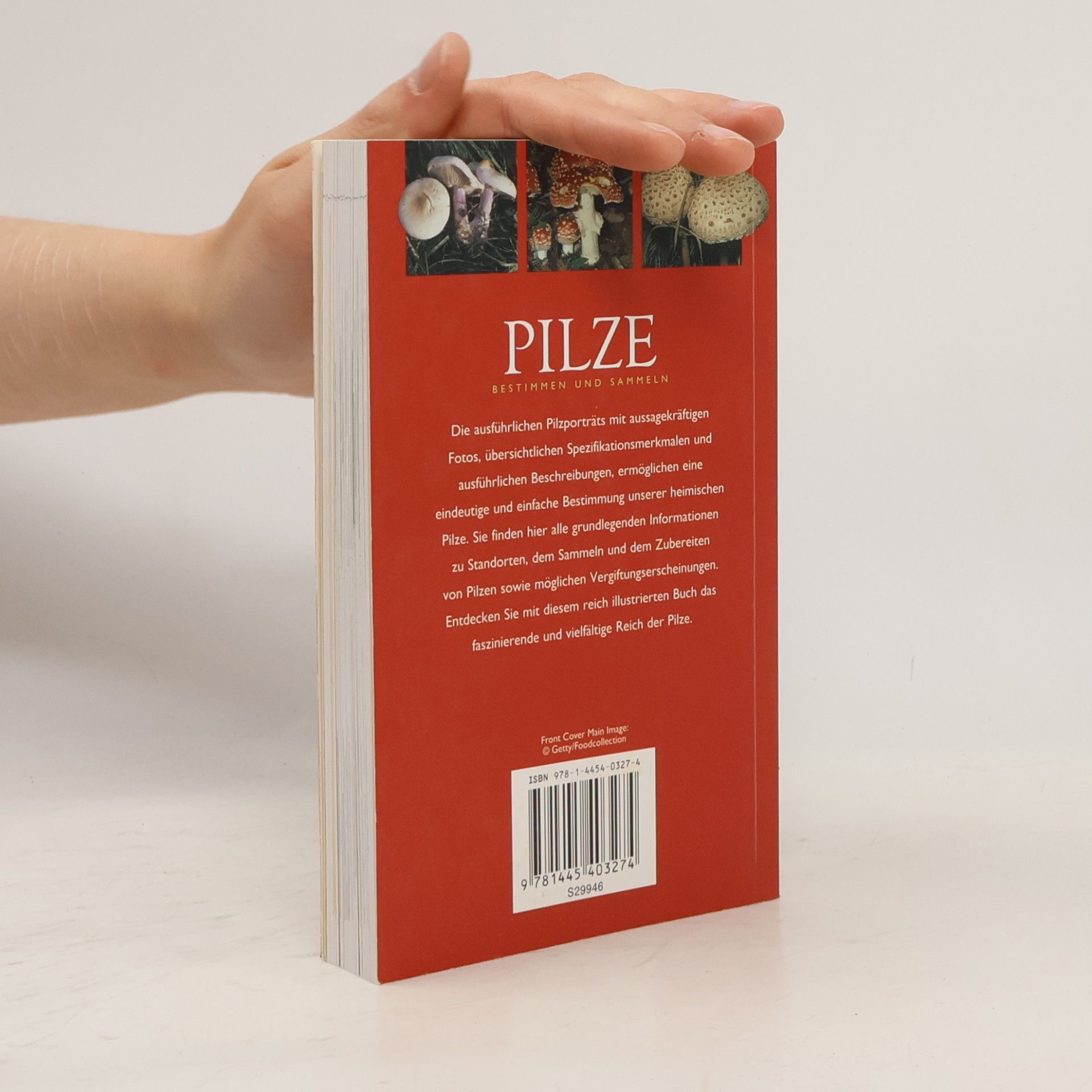 Till R. Lohmeyer Pilze