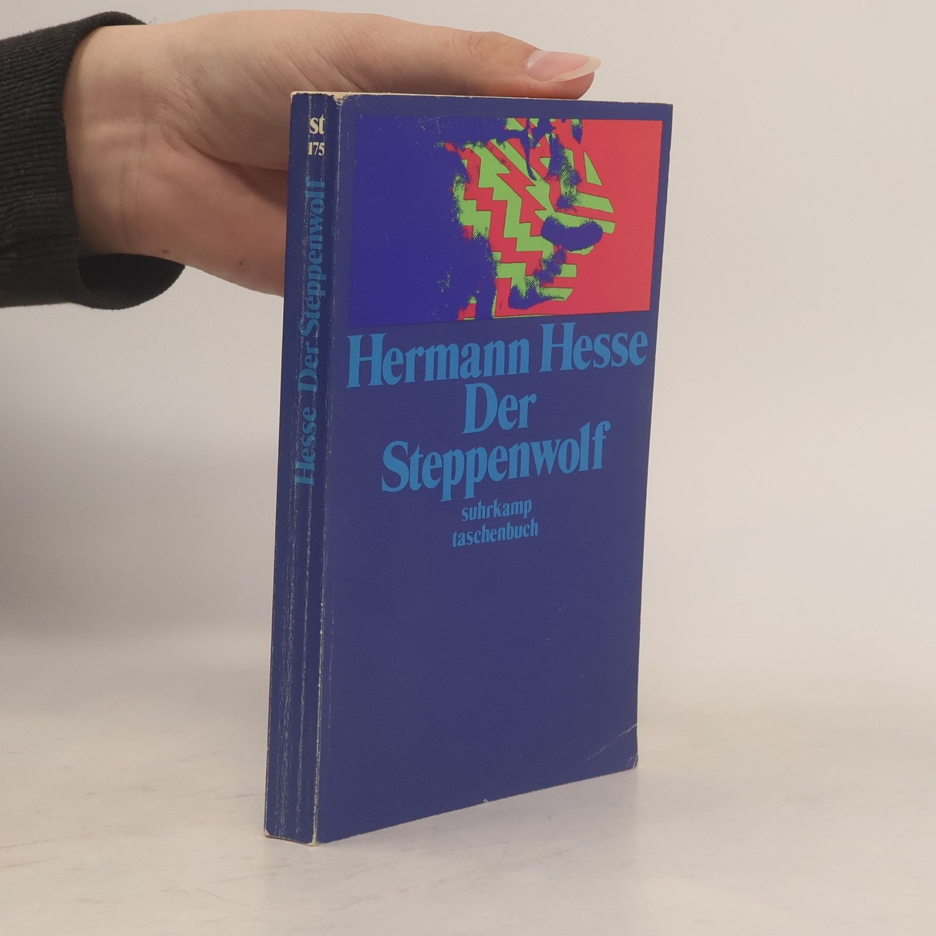 Hermann Hesse Der Steppenwolf
