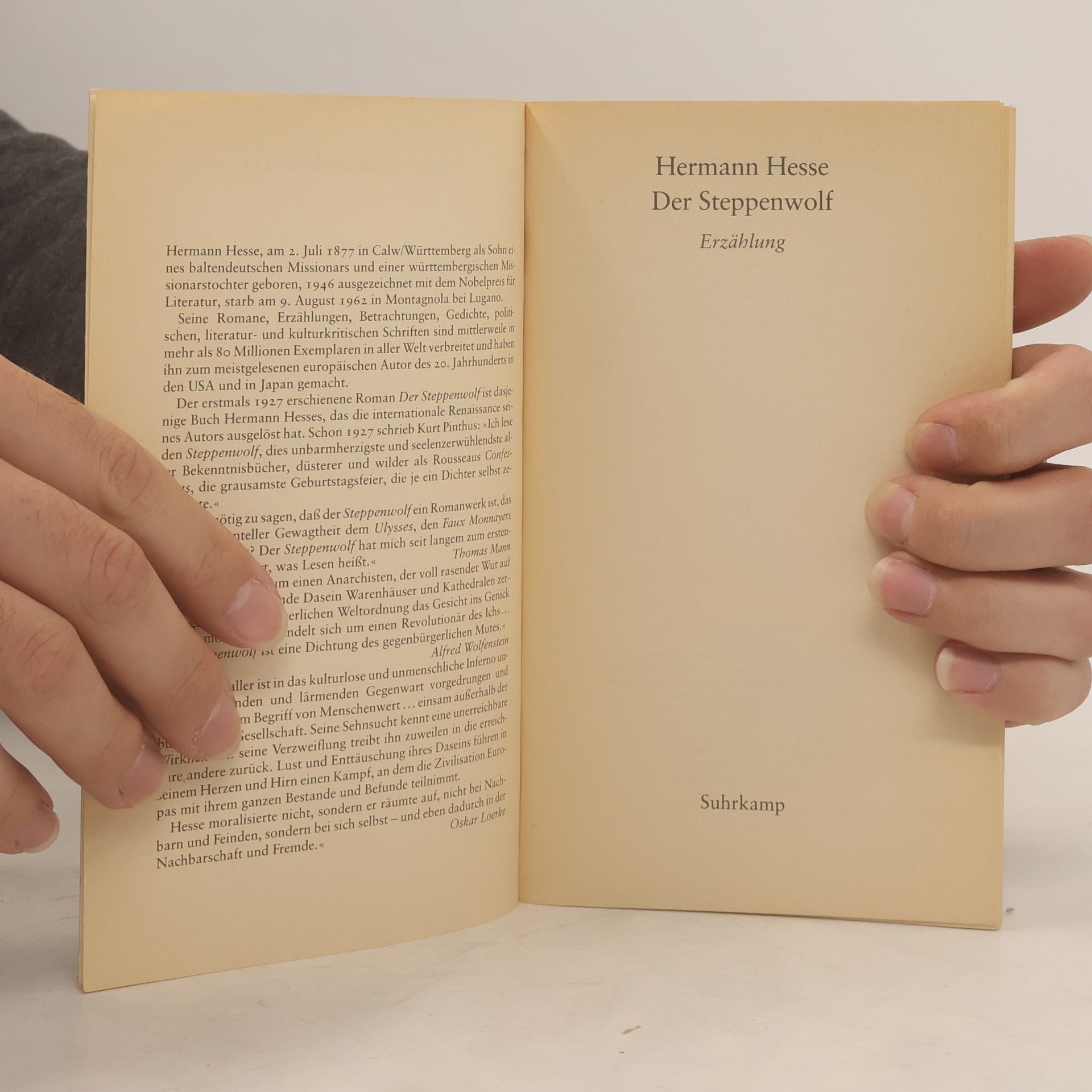 Hermann Hesse Der Steppenwolf