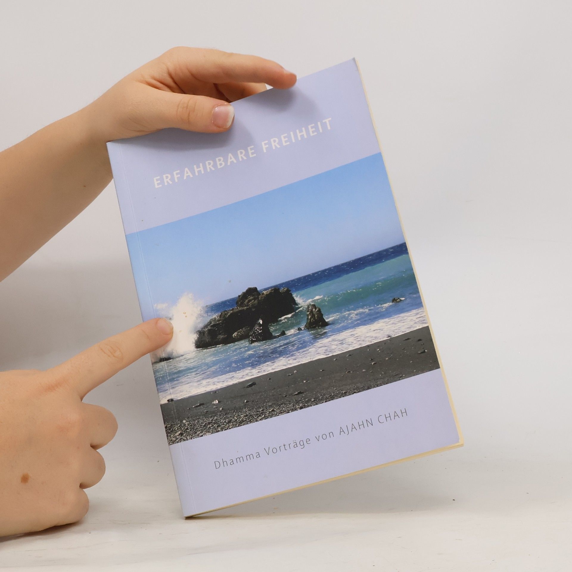 Ajahn Chah Erfahrbare Freiheit
