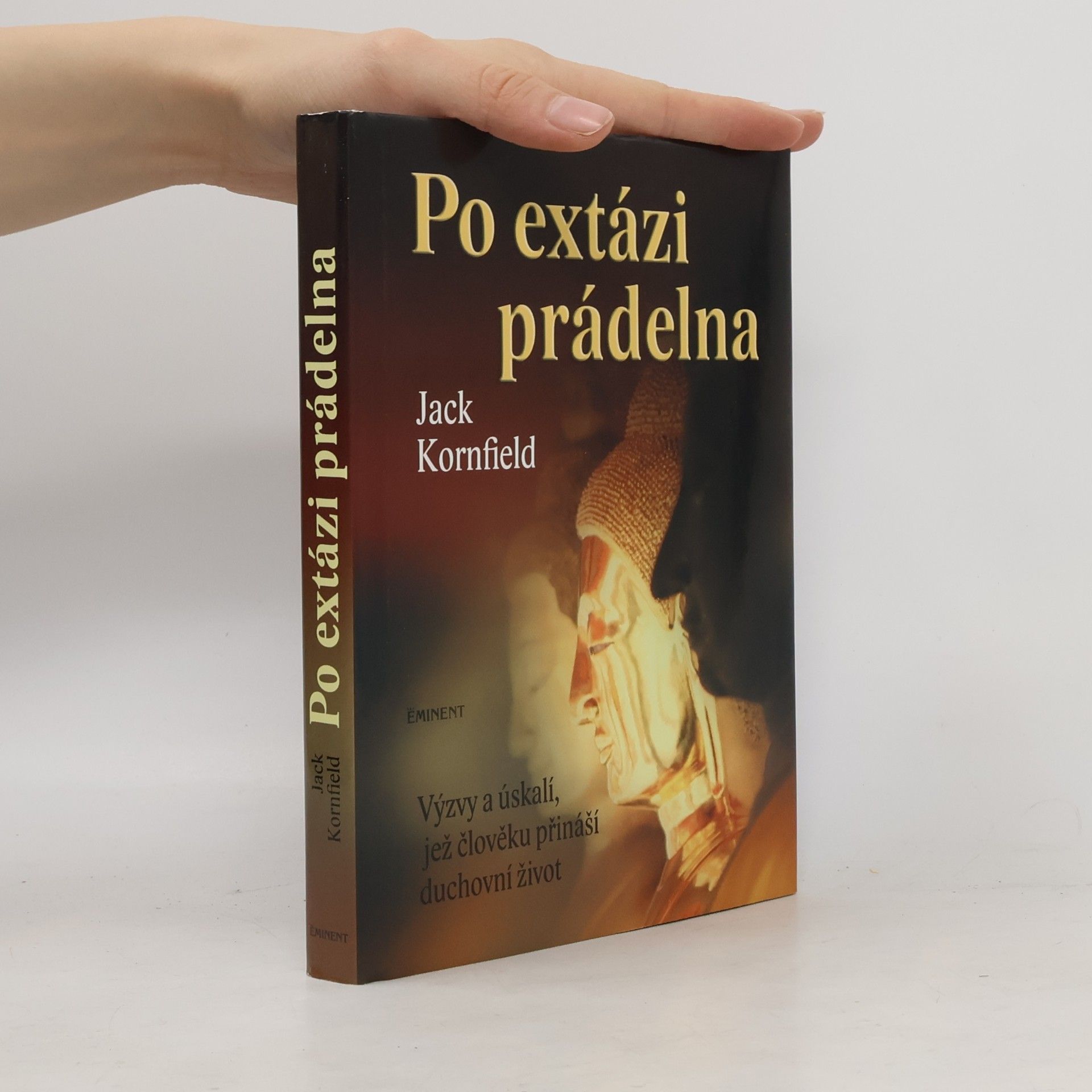 Jack Kornfield Po extázi prádelna