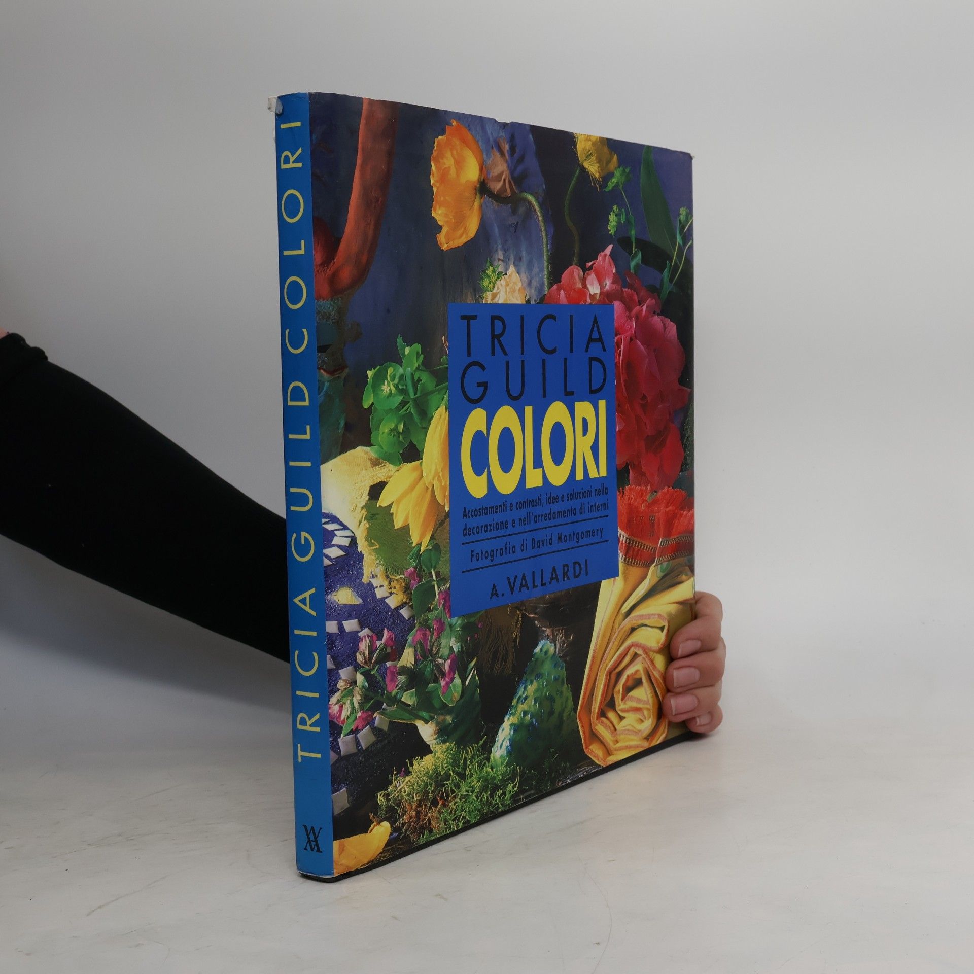 Elizabeth Wihide Tricia Guild-colori