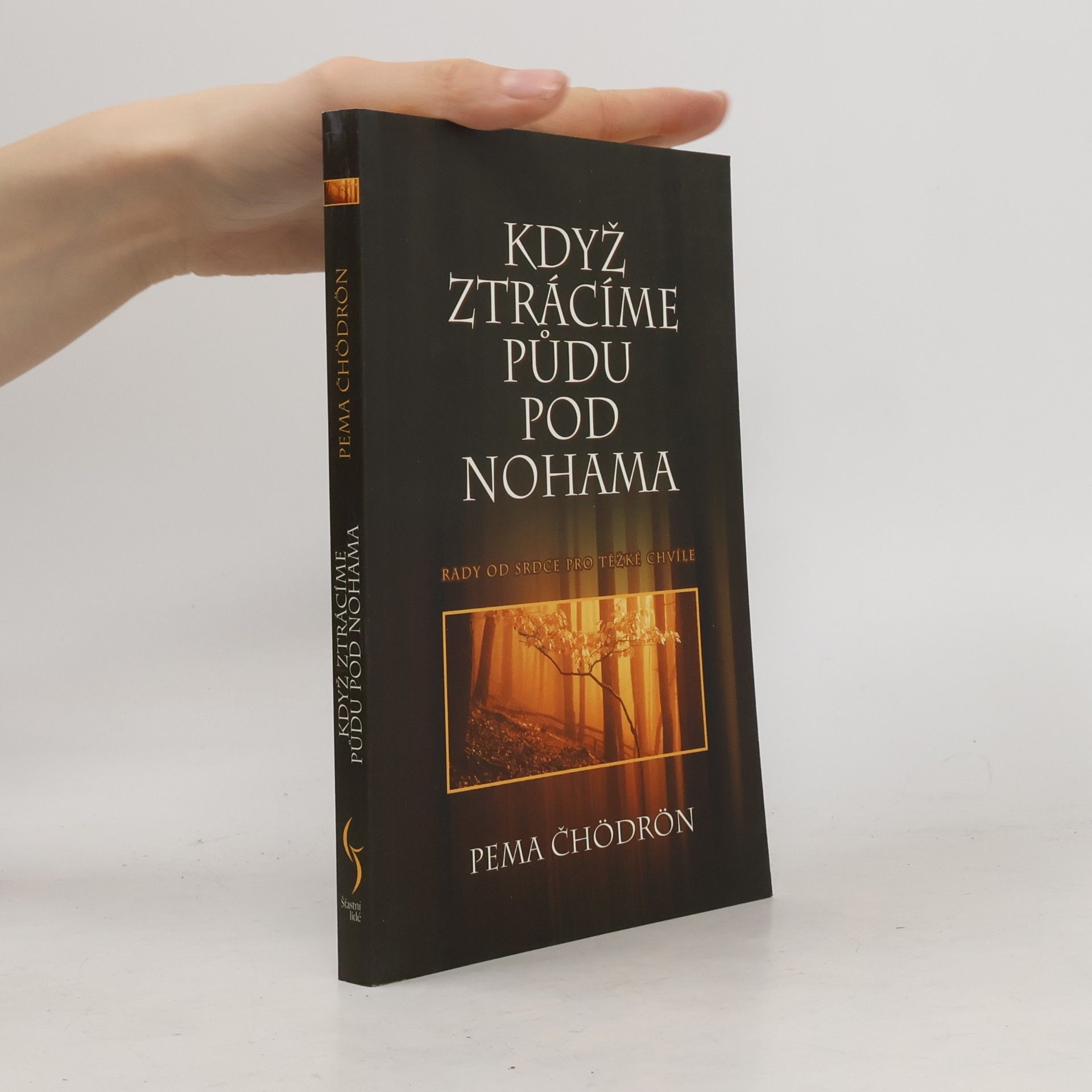 Pema Chödrön Když ztrácíme půdu pod nohama