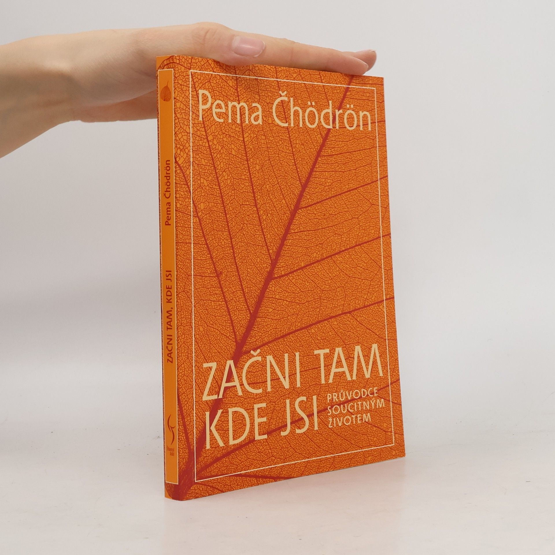 Pema Chödrön Začni tam, kde jsi: Průvodce soucitným životem