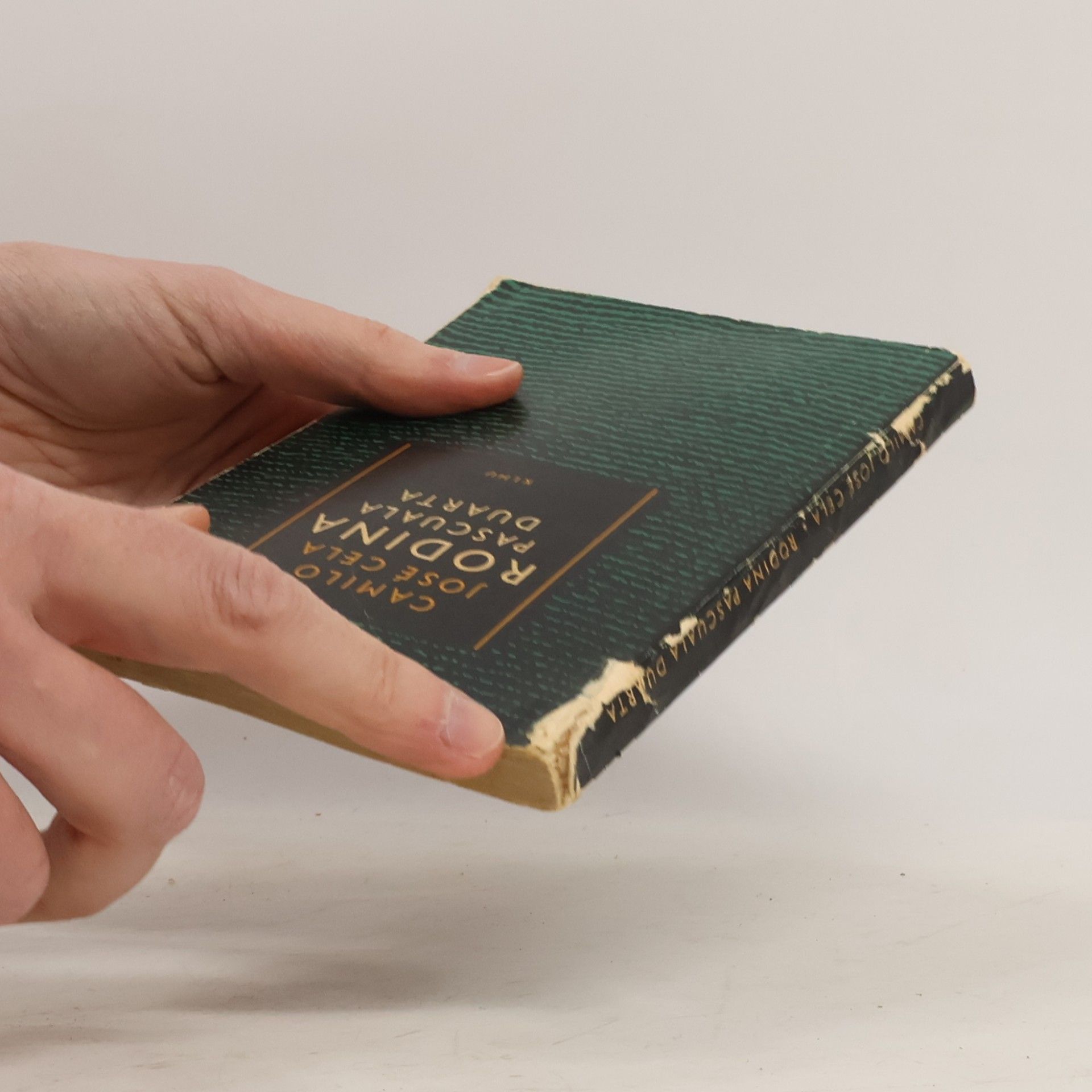 Camilo José Cela Rodina Pascuala Duarta