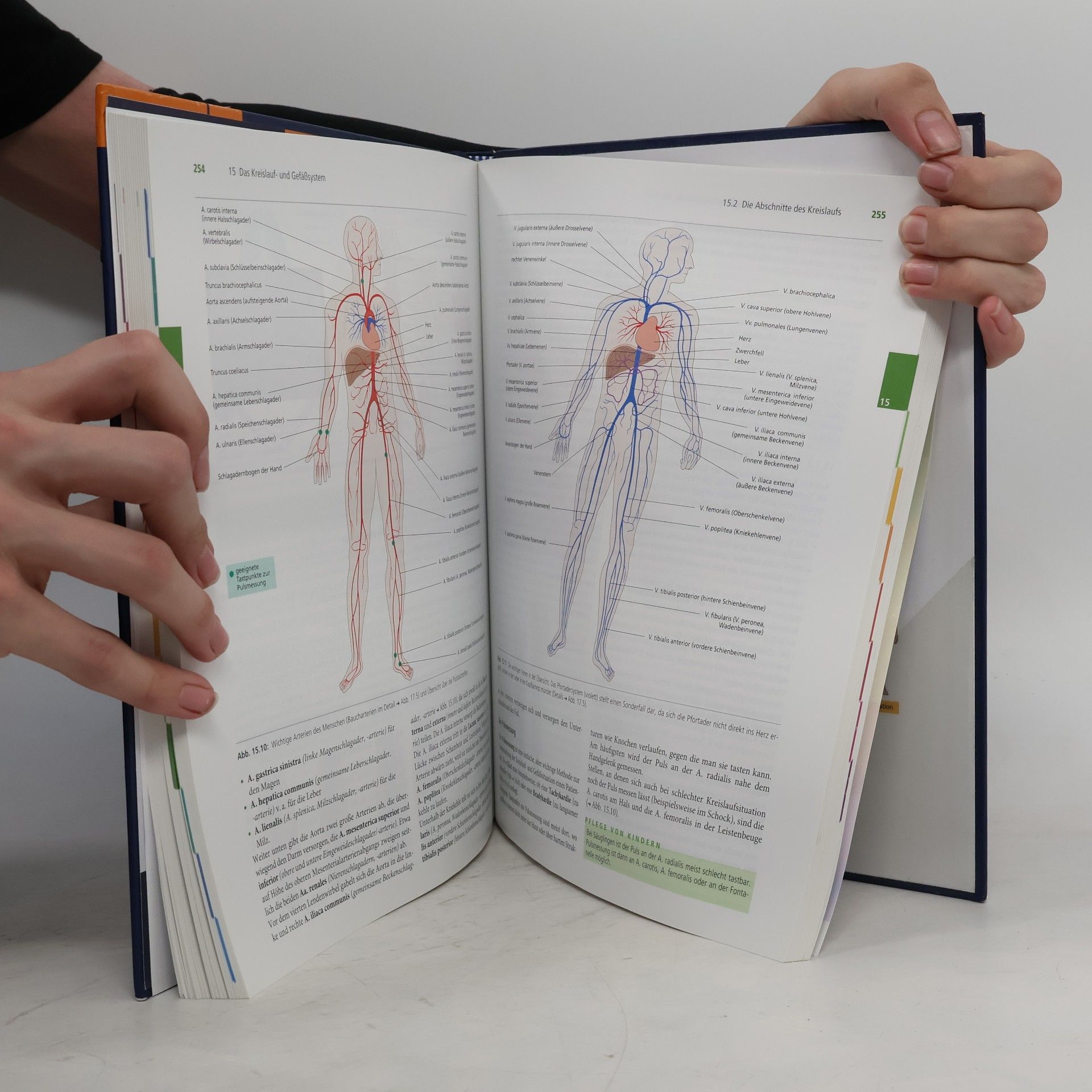 Nicole Menche Biologie, Anatomie, Physiologie