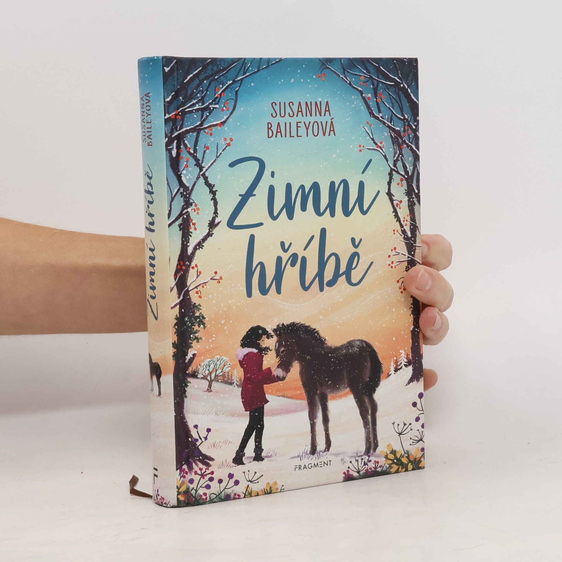 Susanna Bailey Zimní hříbě
