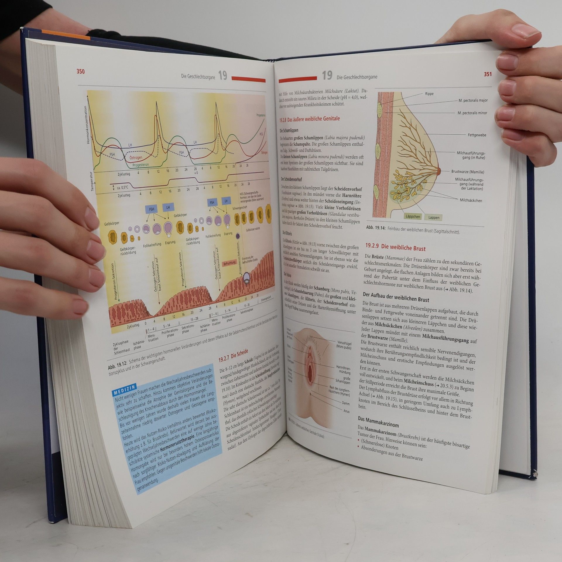 Nicole Menche Biologie, Anatomie, Physiologie