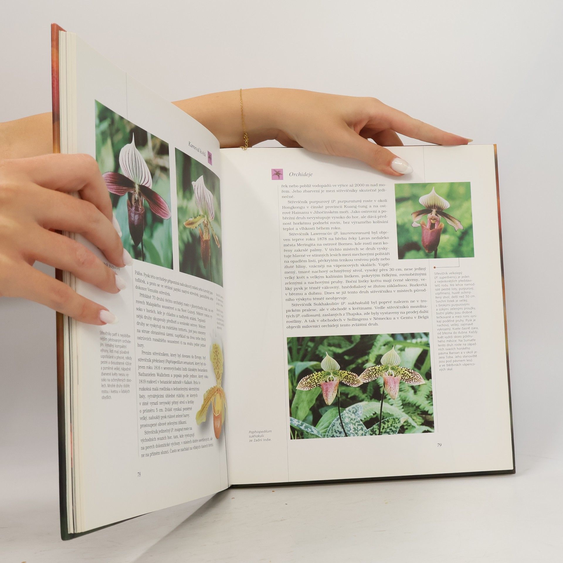 Collectif d'auteurs Nejkrásnější a nejzajímavější květiny světa