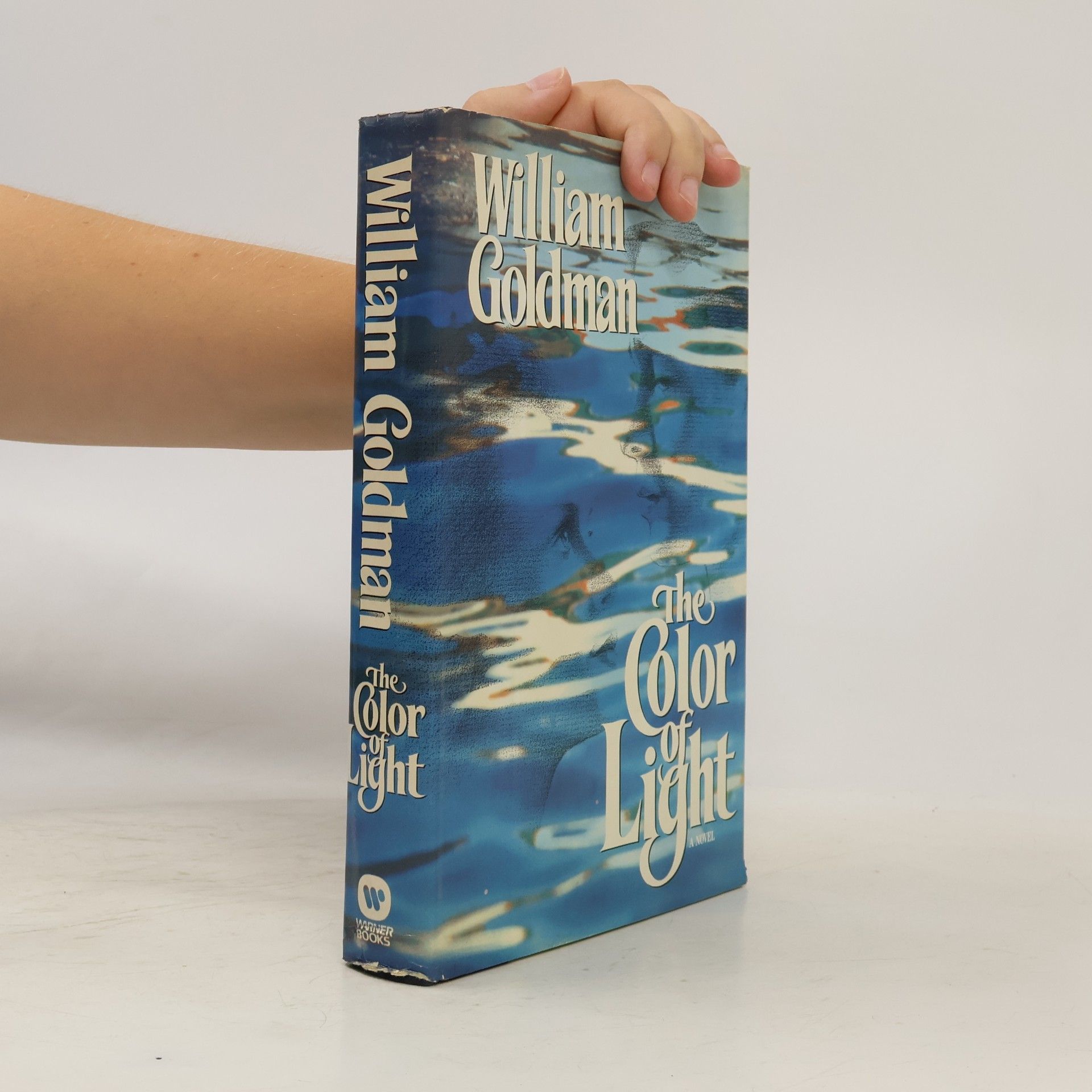 William Goldman The Color of Light
