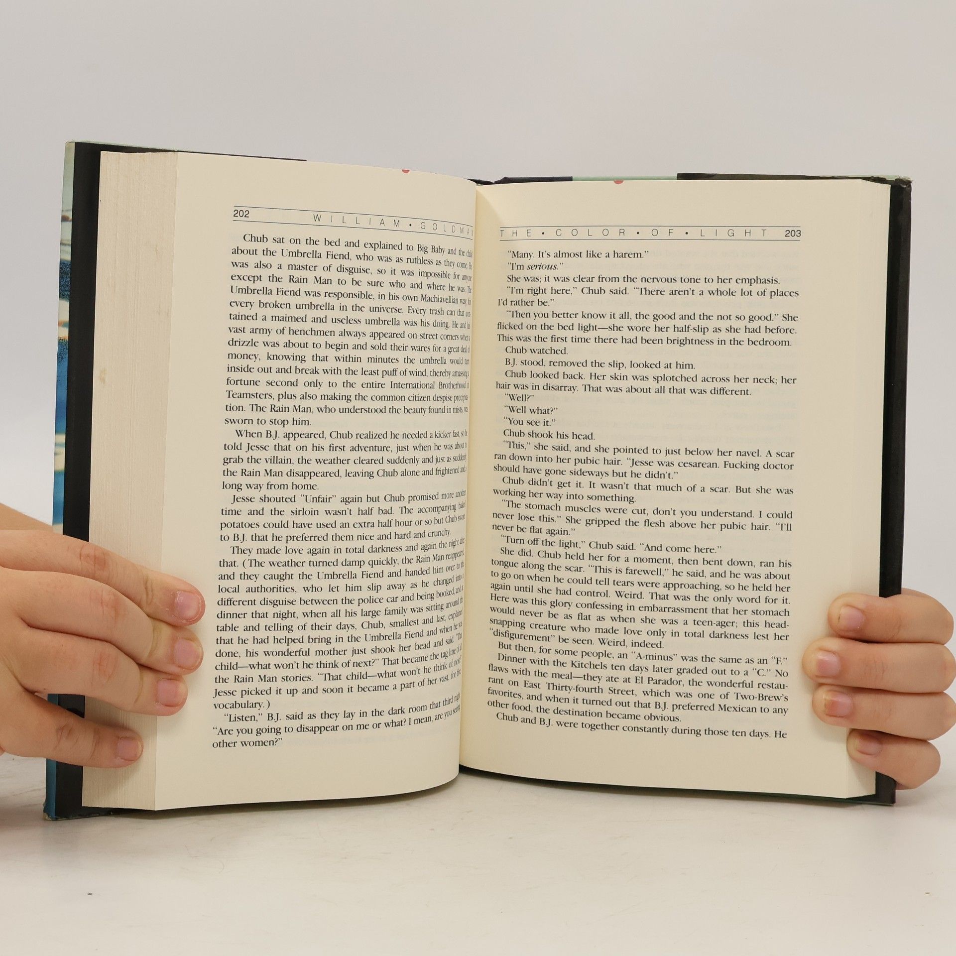 William Goldman The Color of Light