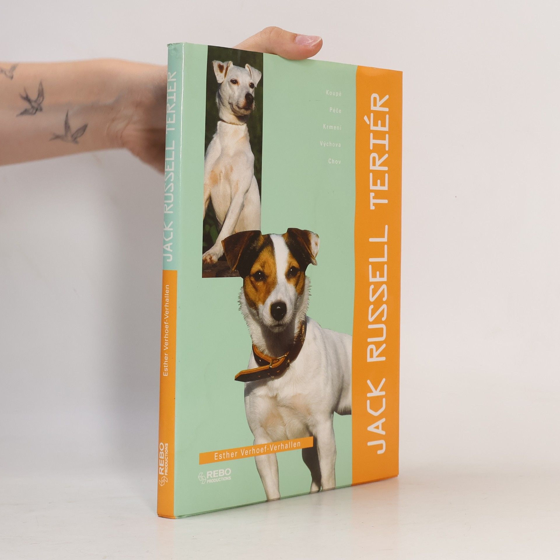 Jack Russell teriér