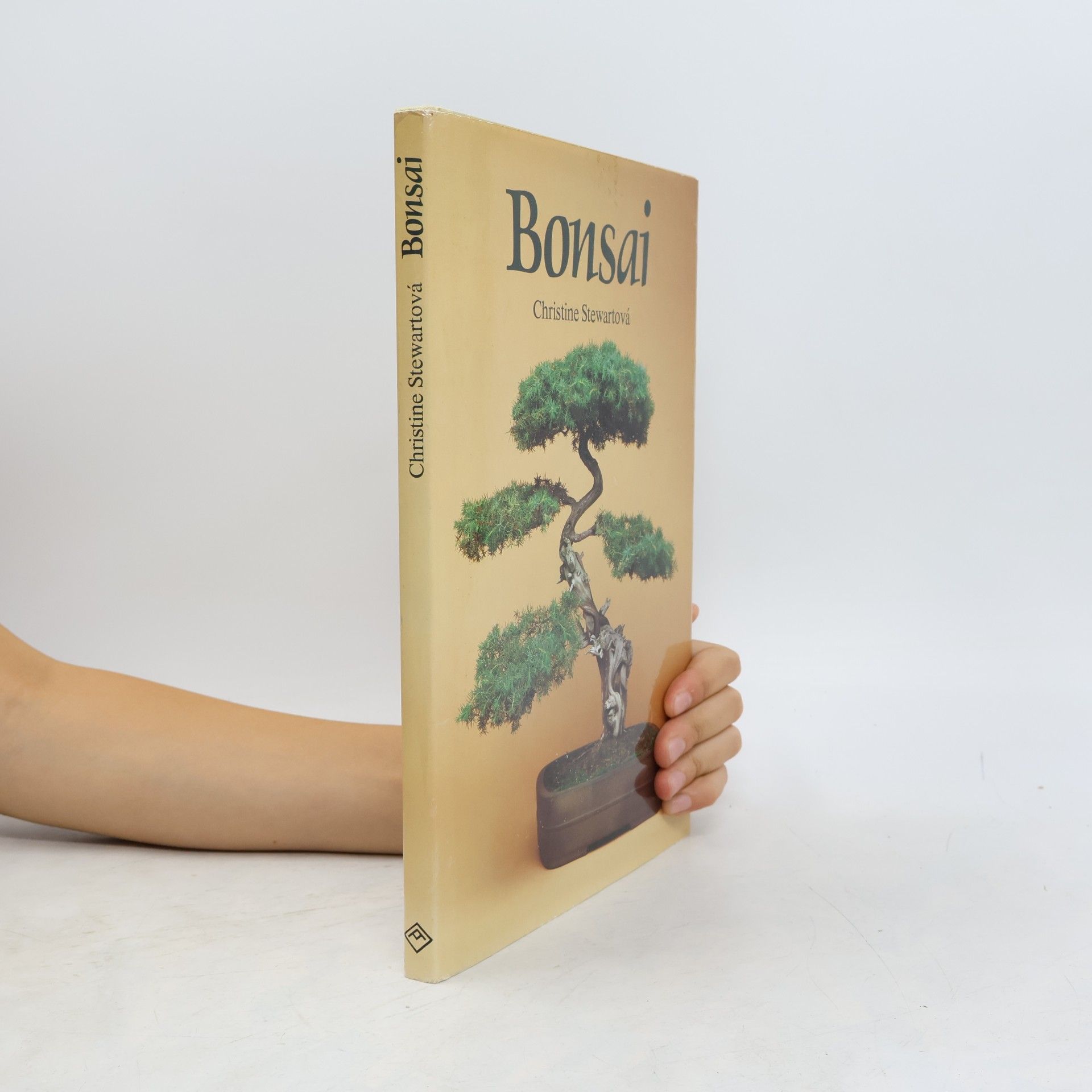 Christine Stewart Bonsai