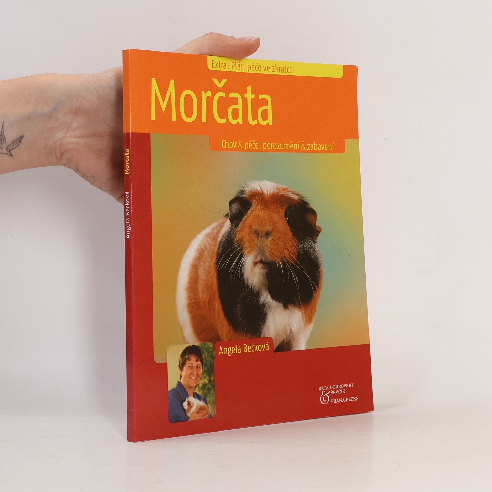 Angela Beck Morčata. Chov & péče, porozumění & zabavení