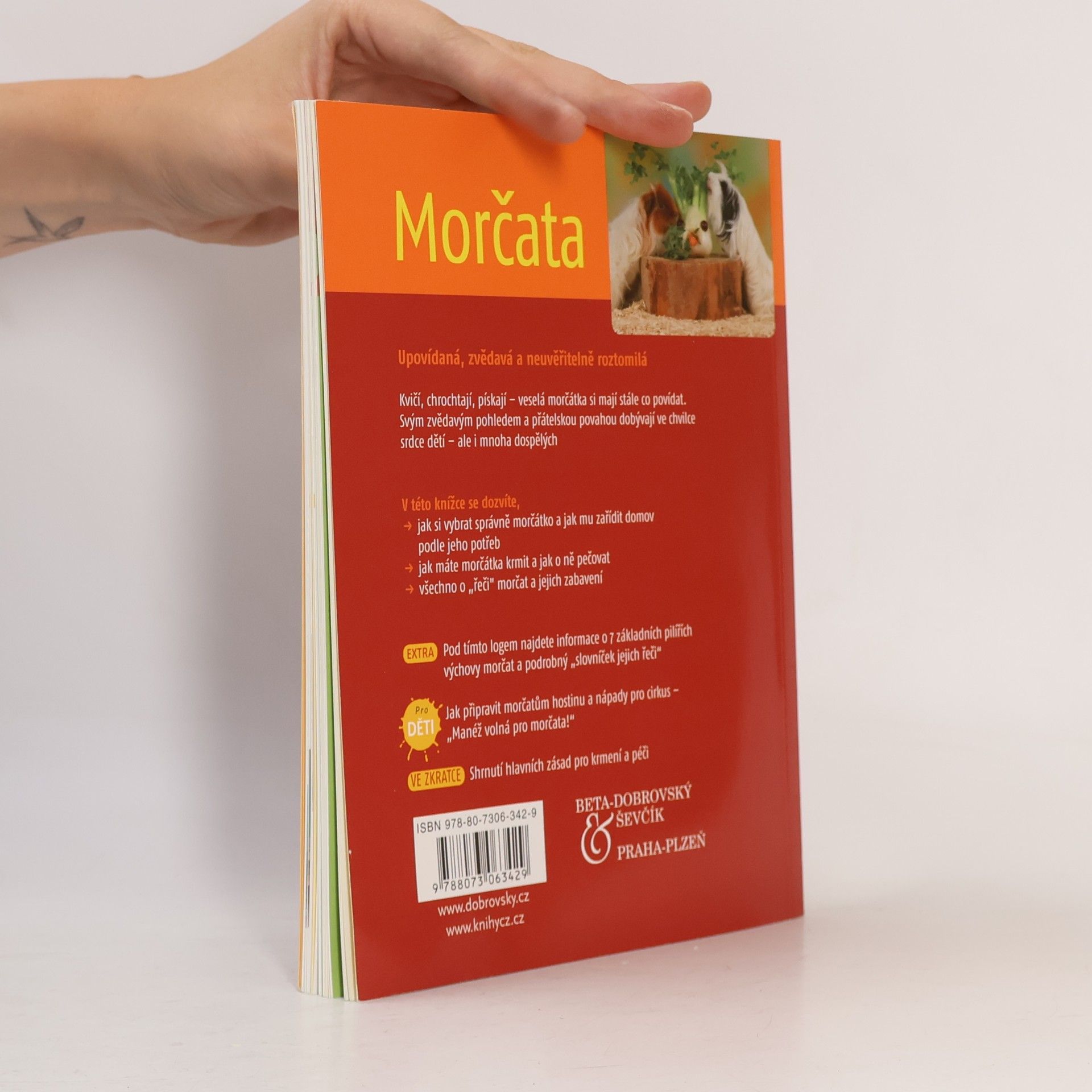 Angela Beck Morčata. Chov & péče, porozumění & zabavení