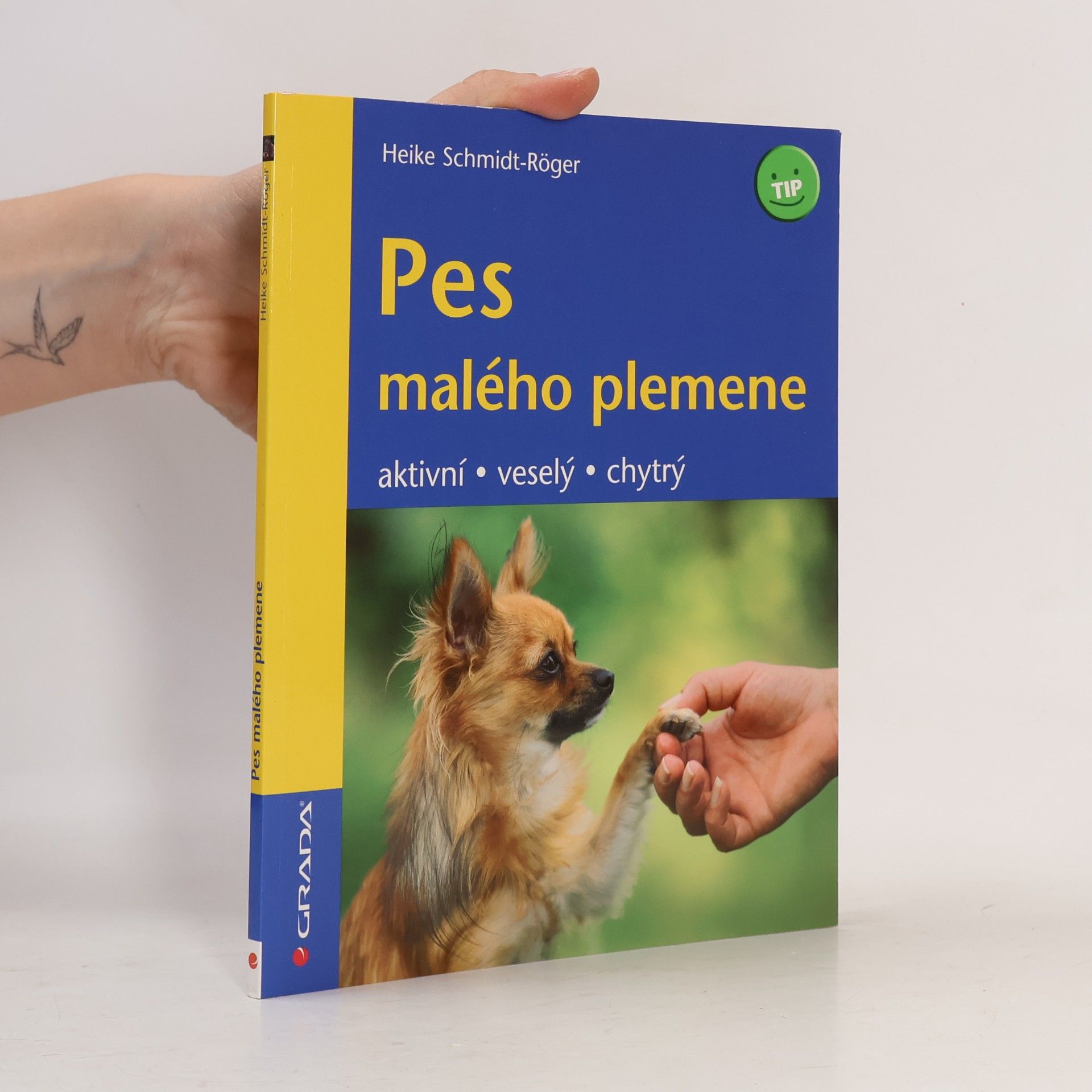 Heike Schmidt-Röger Pes malého plemene. Aktivní, veselý, chytrý