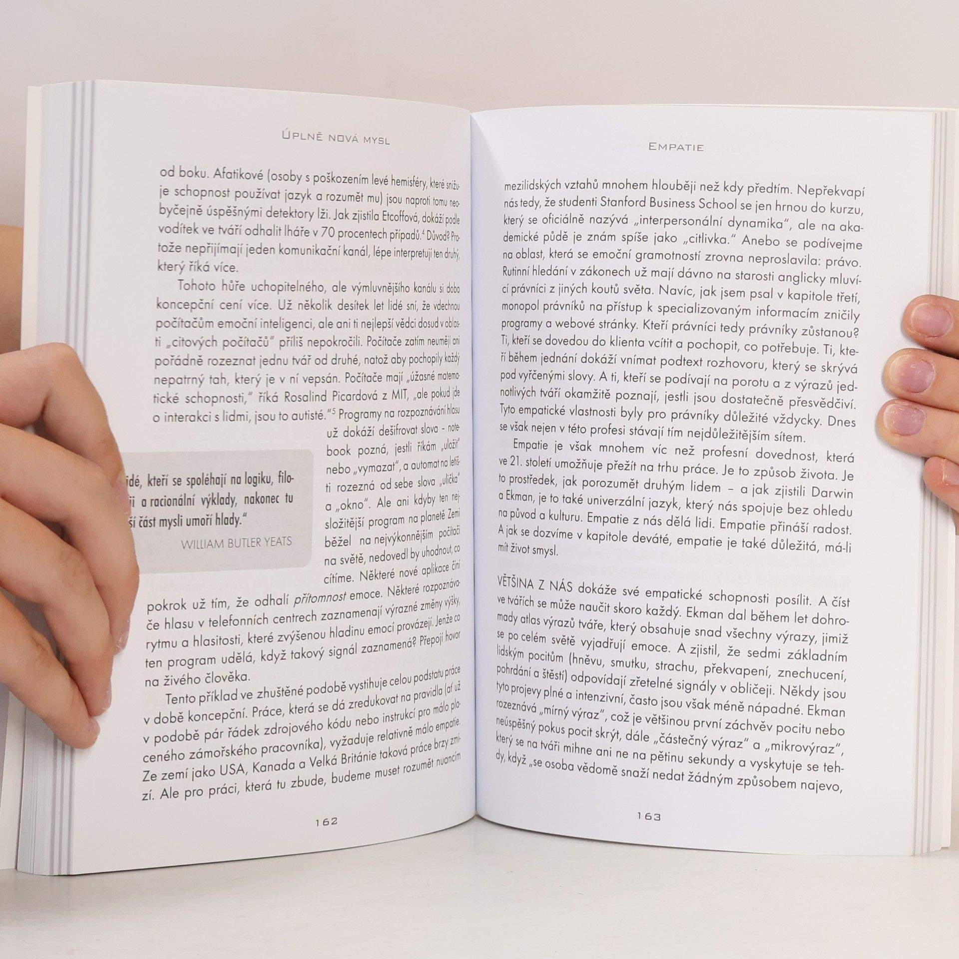 Daniel H. Pink Úplně nová mysl. Proč budoucnost patří pravým hemisférám