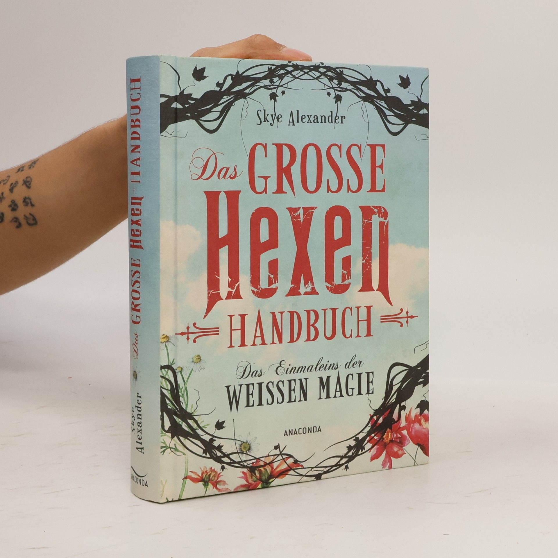 Skye Alexander Das große Hexen-Handbuch