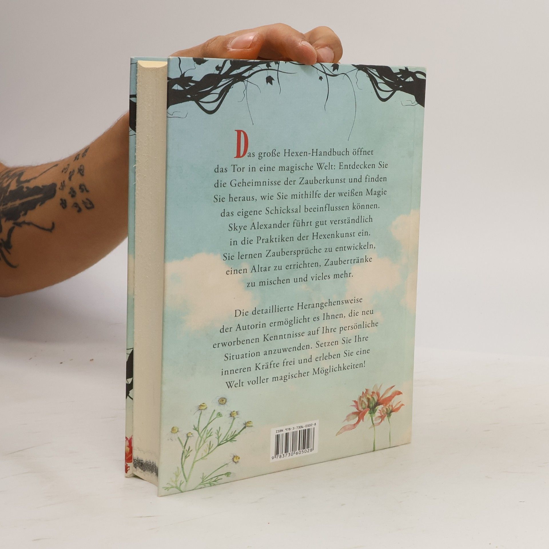 Skye Alexander Das große Hexen-Handbuch