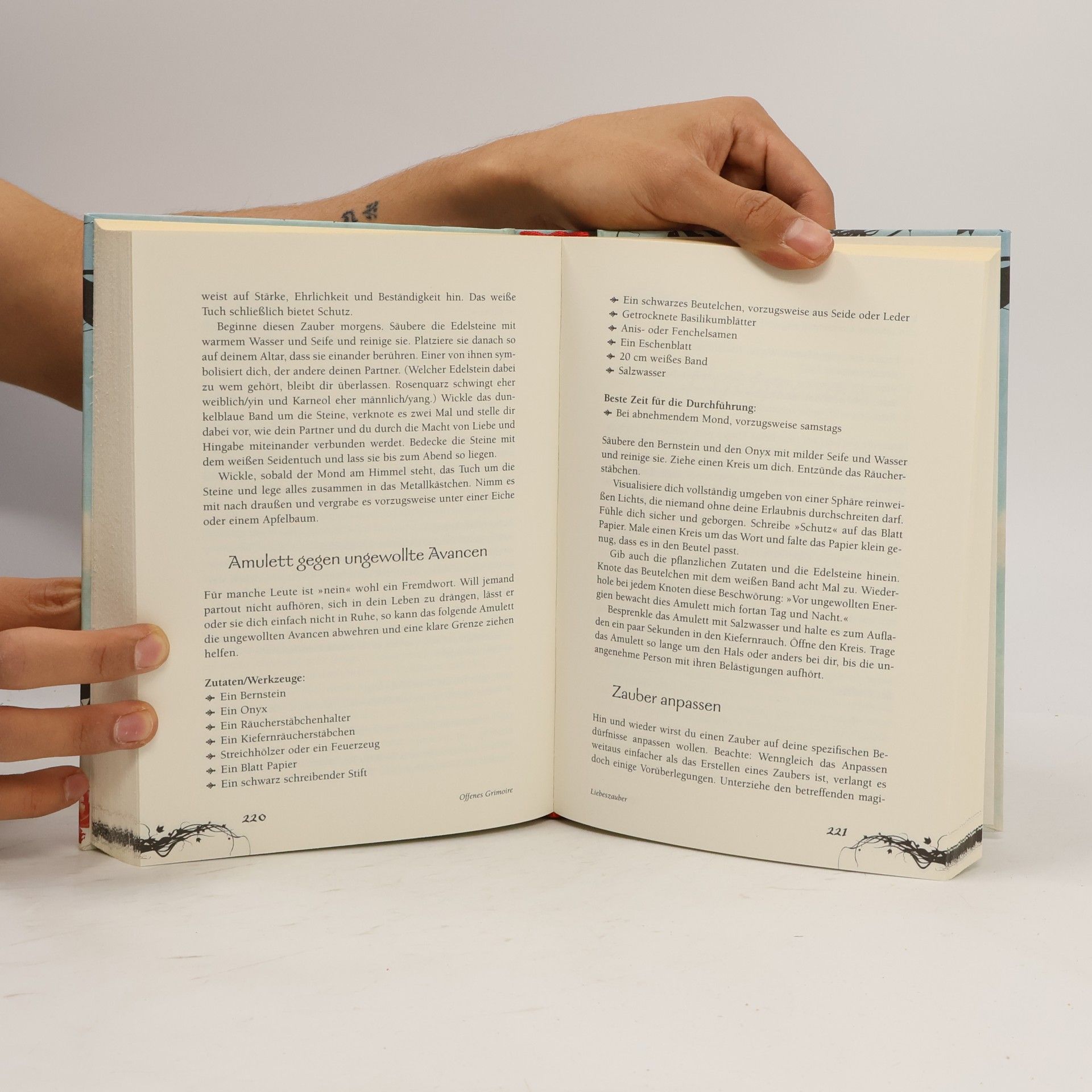 Skye Alexander Das große Hexen-Handbuch