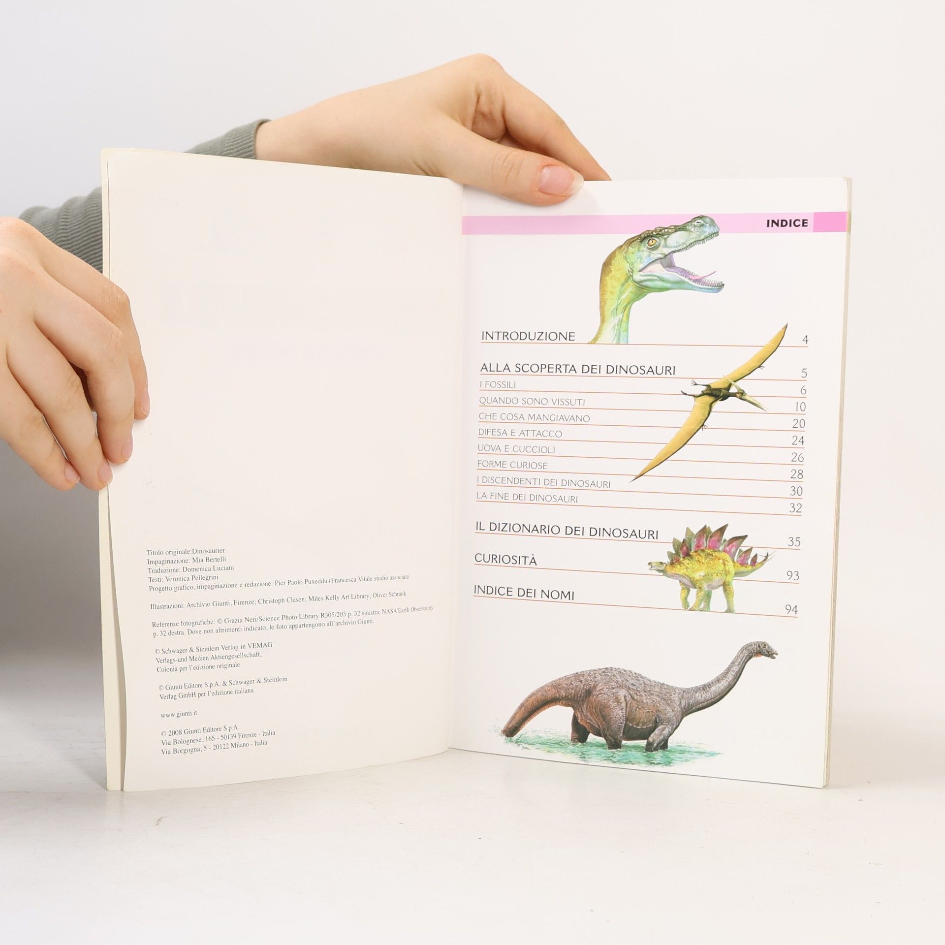 kolektiv Dinosauri