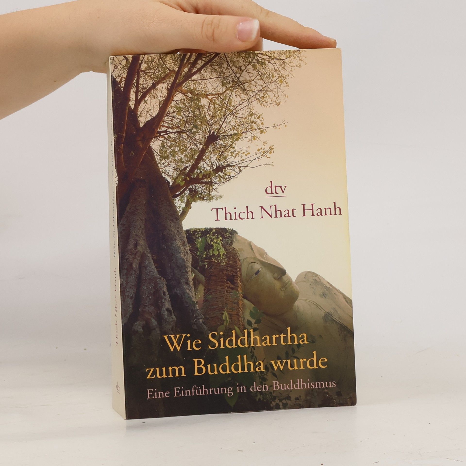Hạnh Nhat Wie Siddhartha zum Buddha wurde