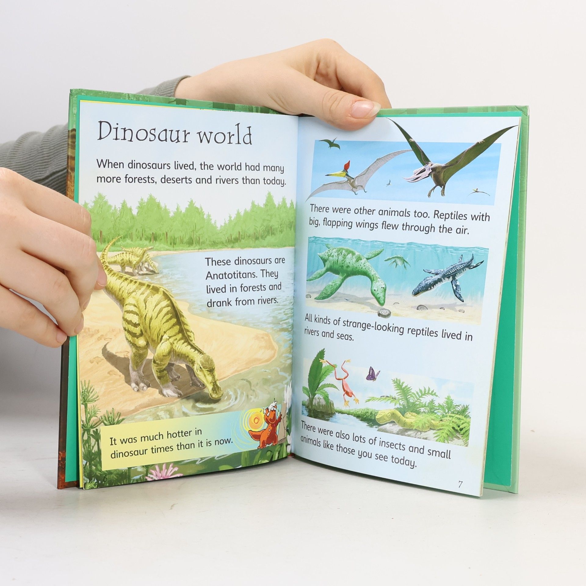 Stephanie Turnbull Dinosaurs