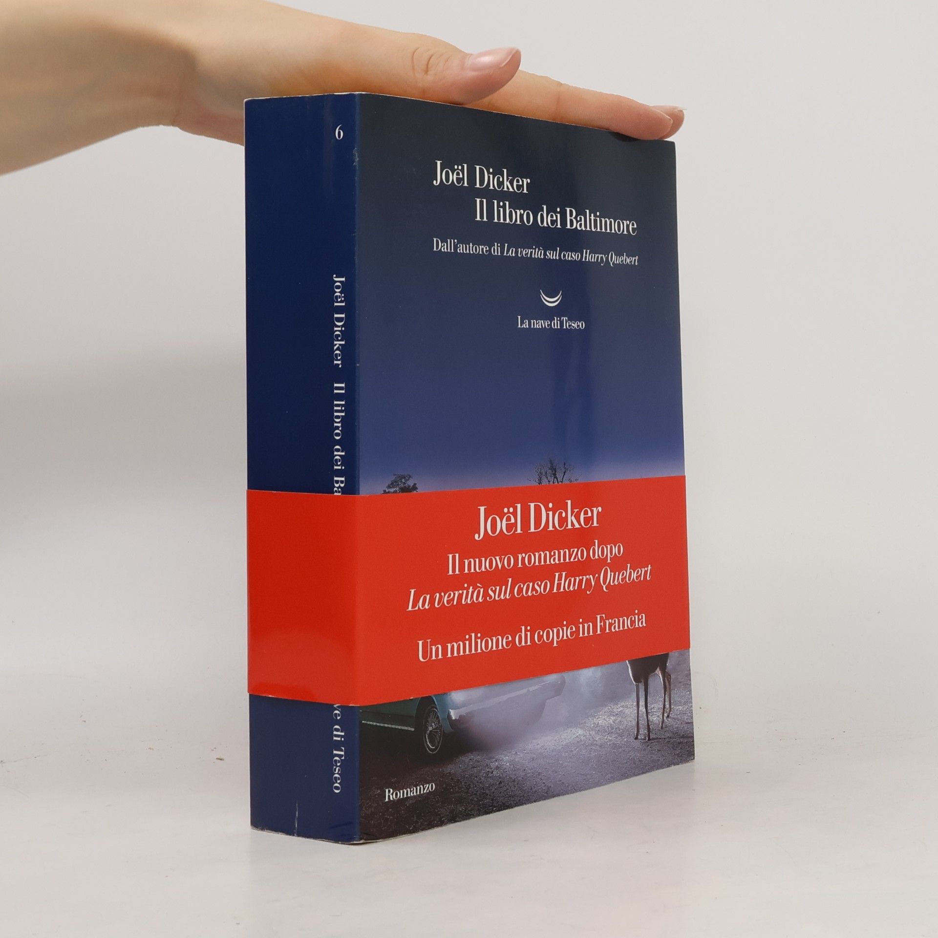 Joël Dicker Il libro dei Baltimore