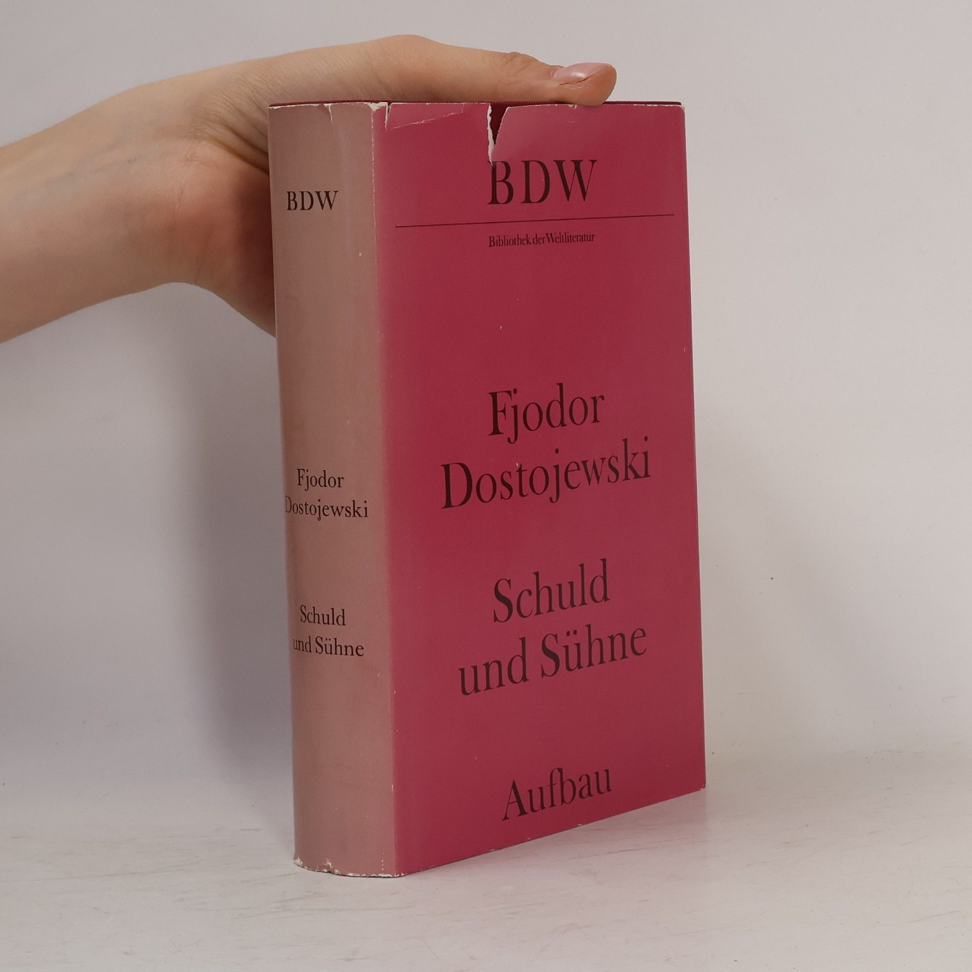 Fjodor Michajlovič Dostojevskij Schuld und Sühne