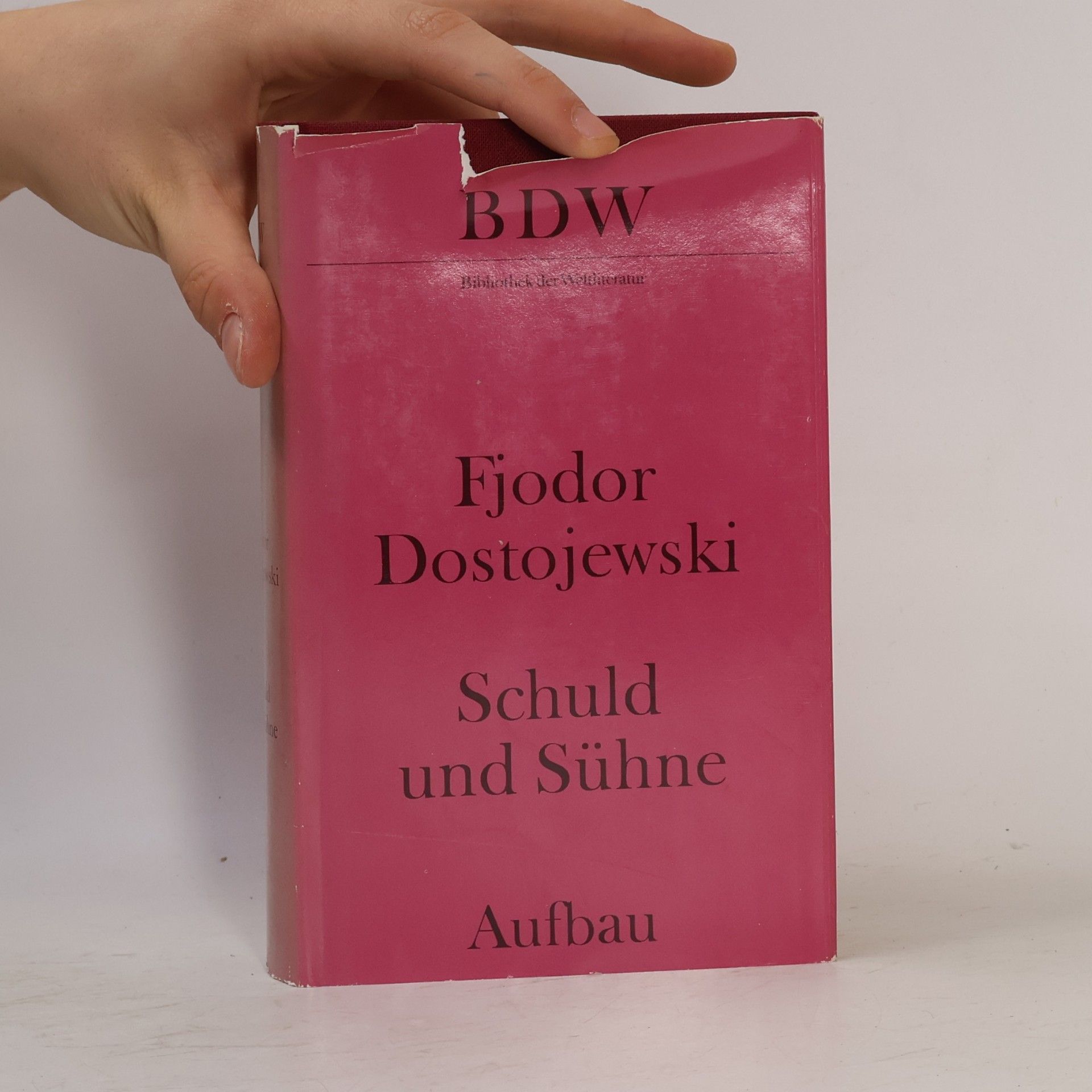 Fjodor Michajlovič Dostojevskij Schuld und Sühne