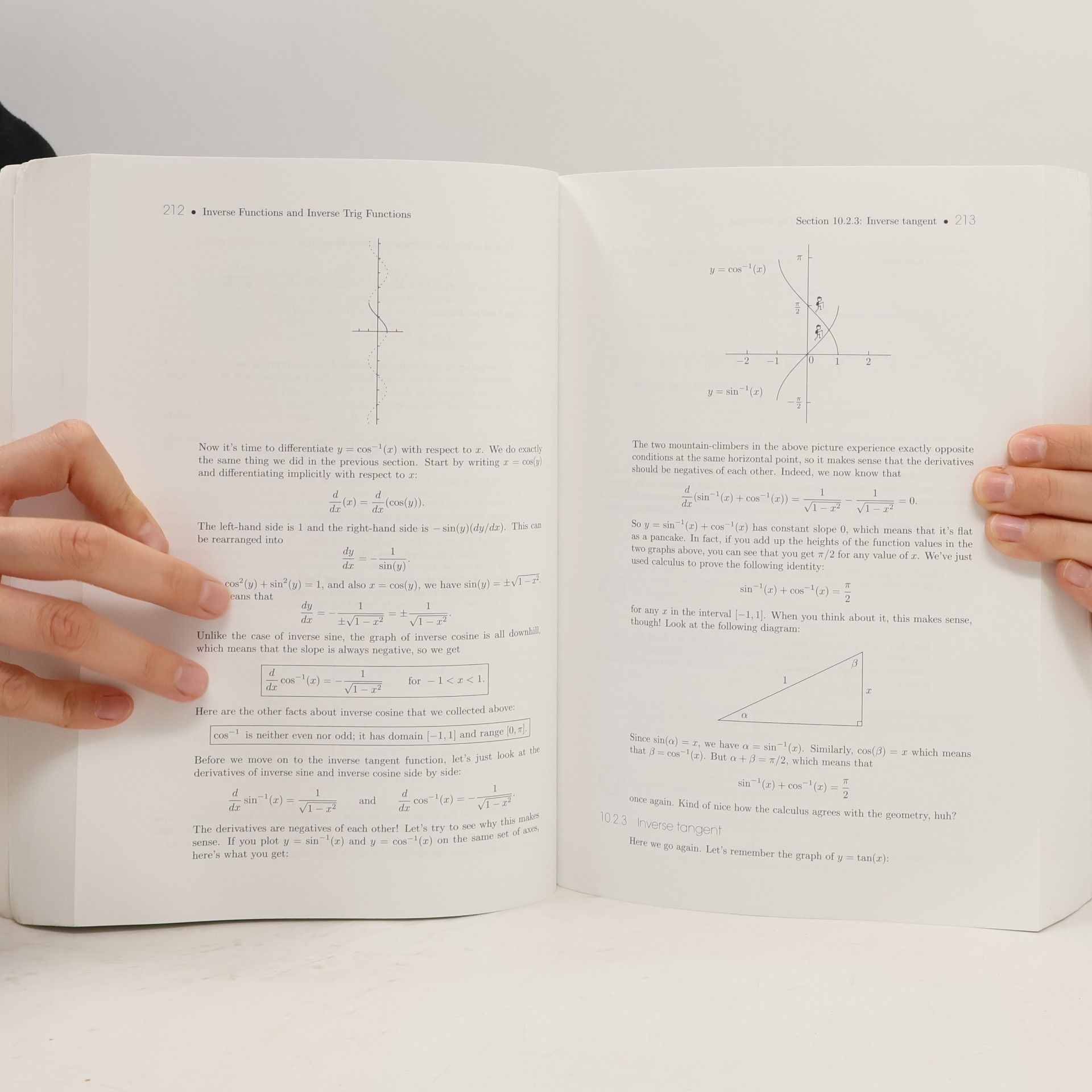 Adrian Banner Princeton Lifesaver Study Guides: The Calculus Lifesaver