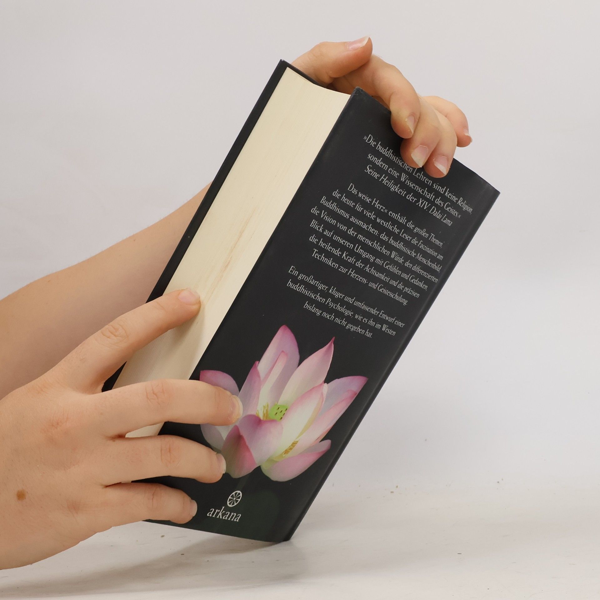 Jack Kornfield Das weise Herz