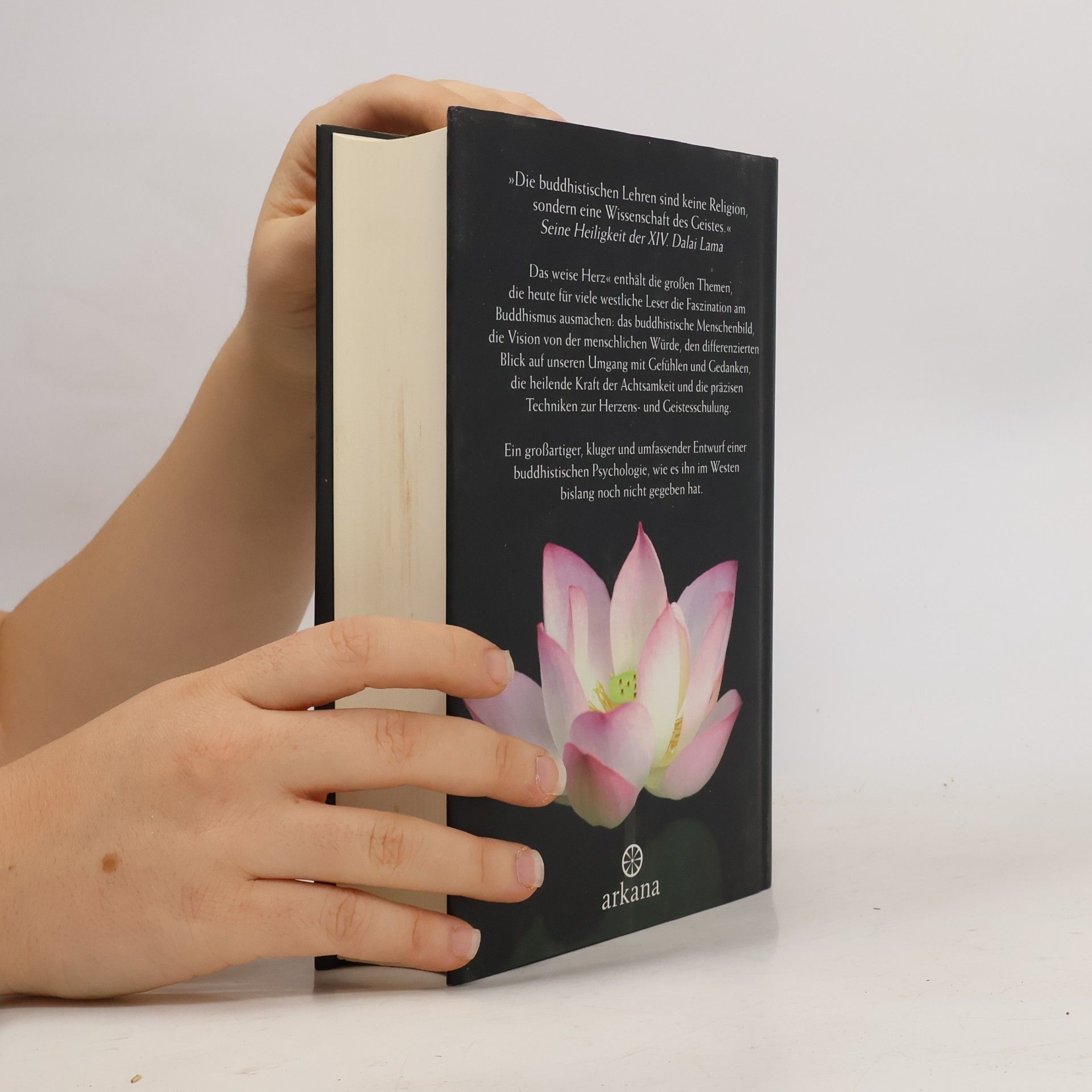 Jack Kornfield Das weise Herz