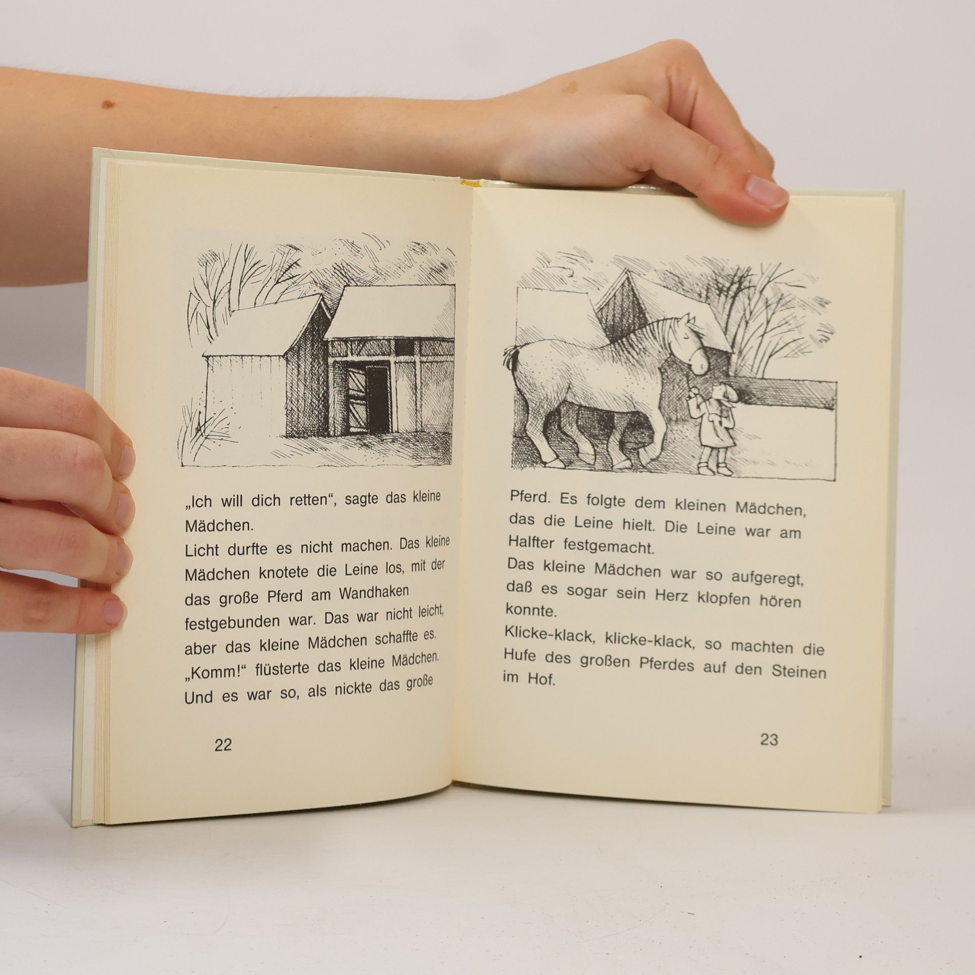 Jo Pestum Das kleine Mädchen und das große Pferd