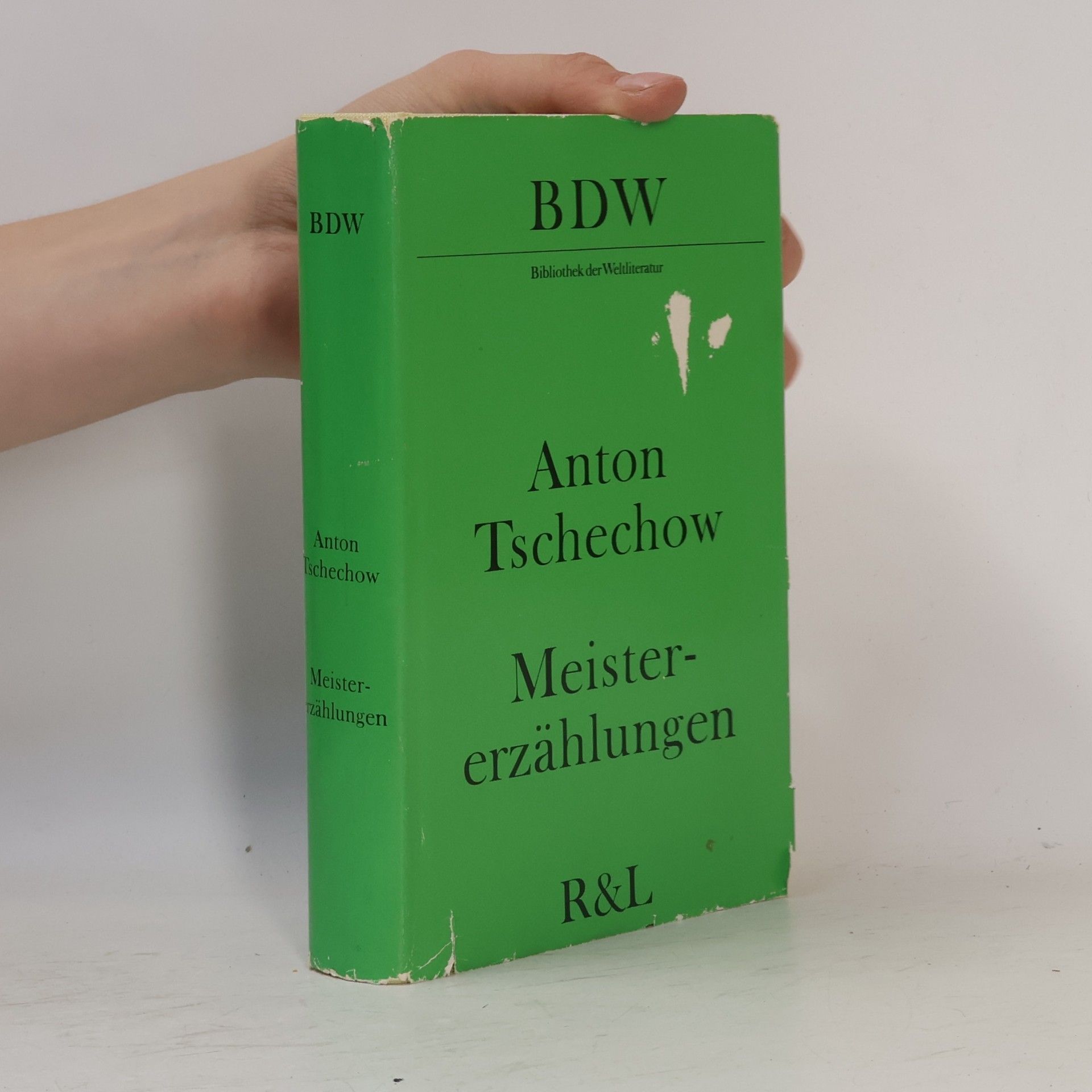 Anton Pavlovič Čechov Meistererzählungen
