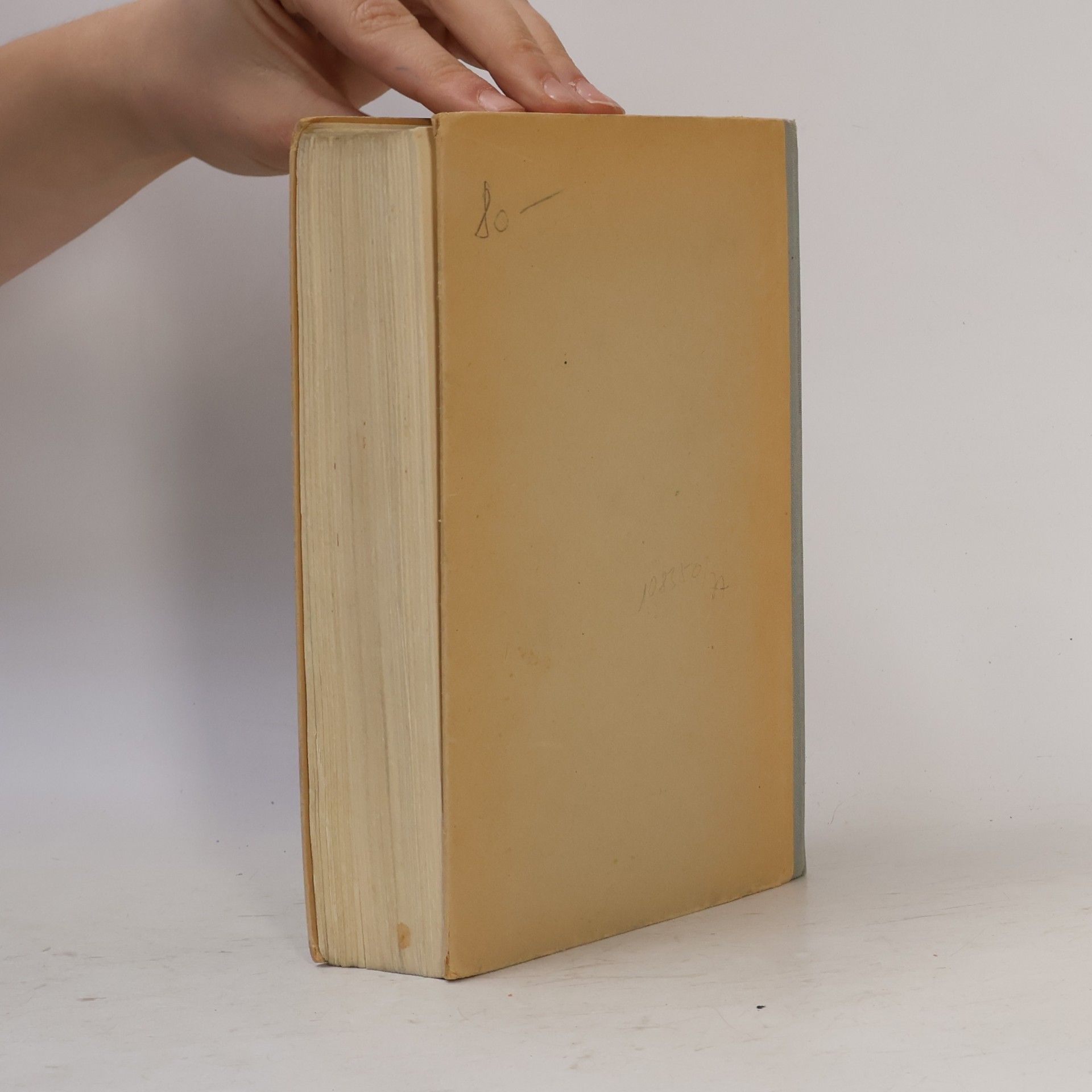 Richard Mason ...denn der Wind kann nicht lesen