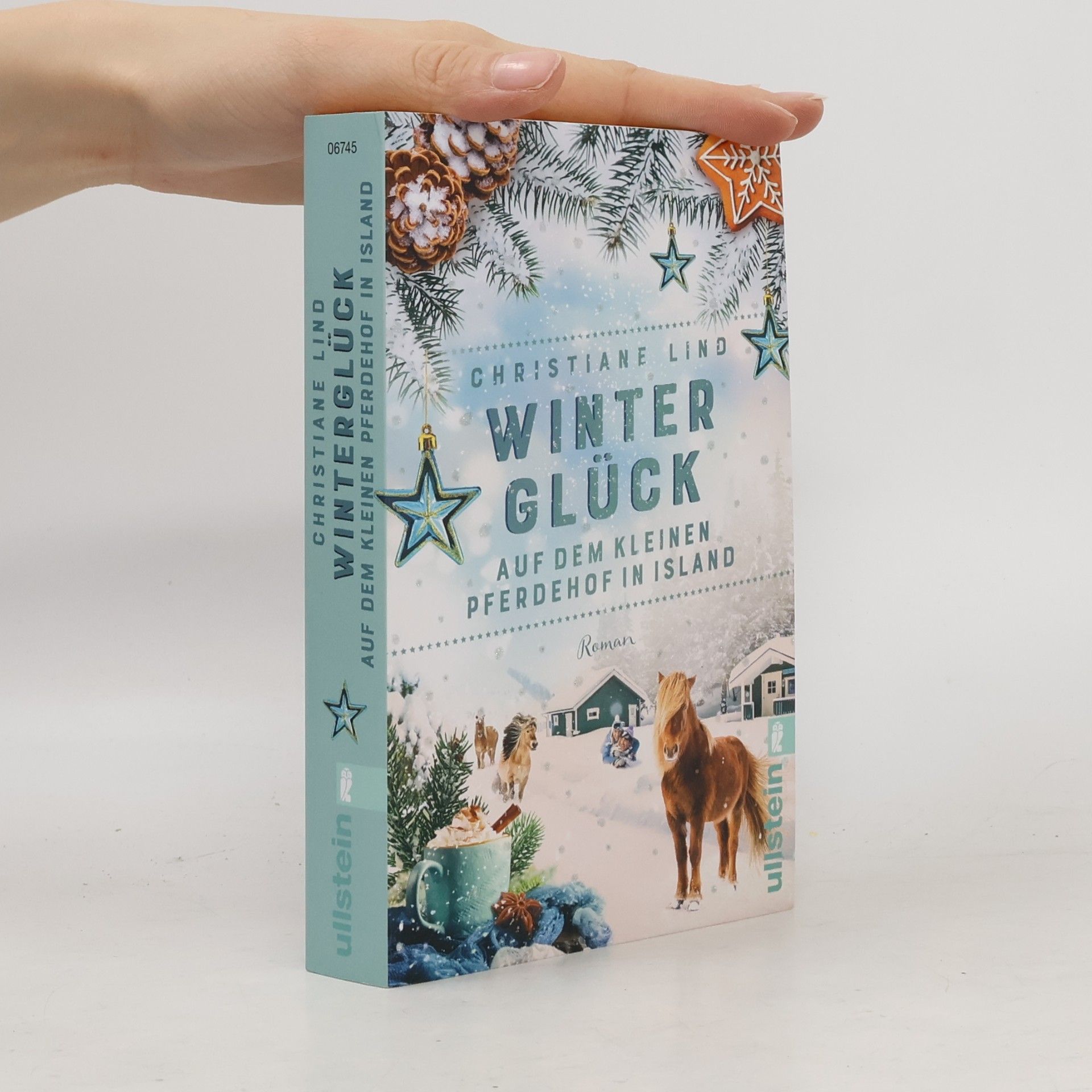 Christiane Lind Winterglück auf dem kleinen Pferdehof in Island