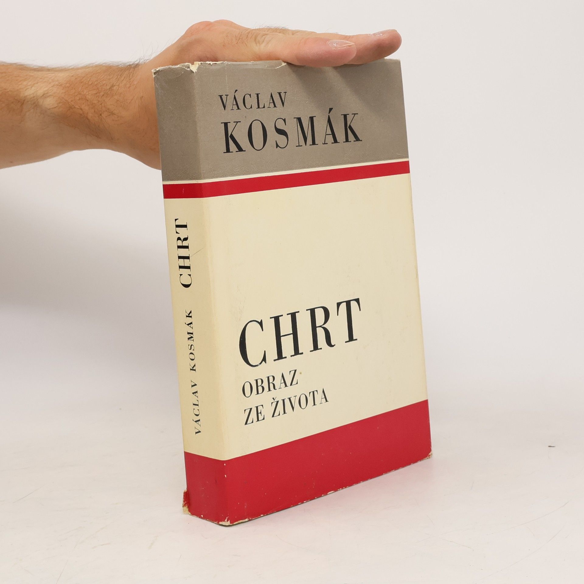 Chrt: Obraz ze života