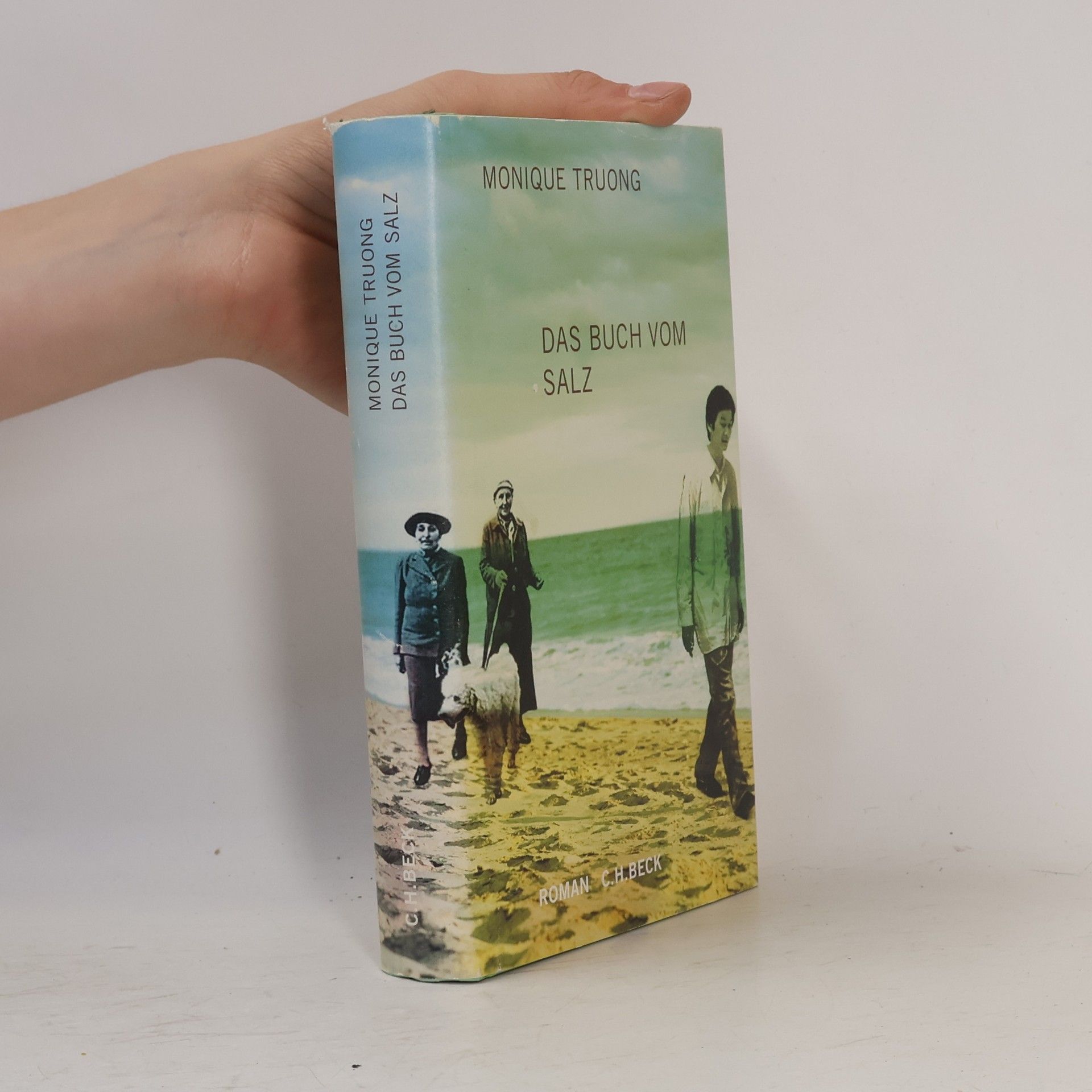 Monique Truong Das Buch vom Salz