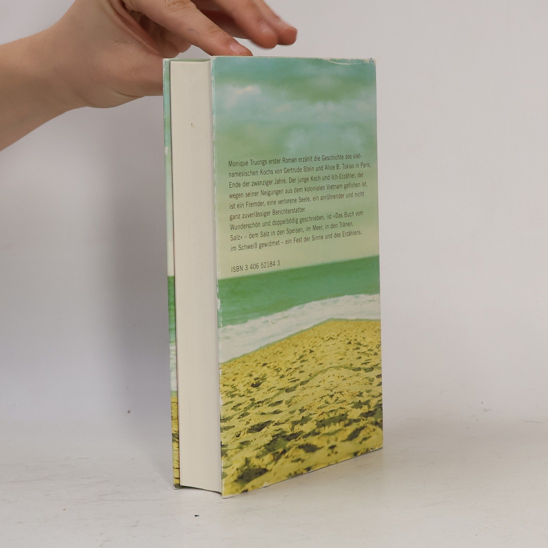 Monique Truong Das Buch vom Salz