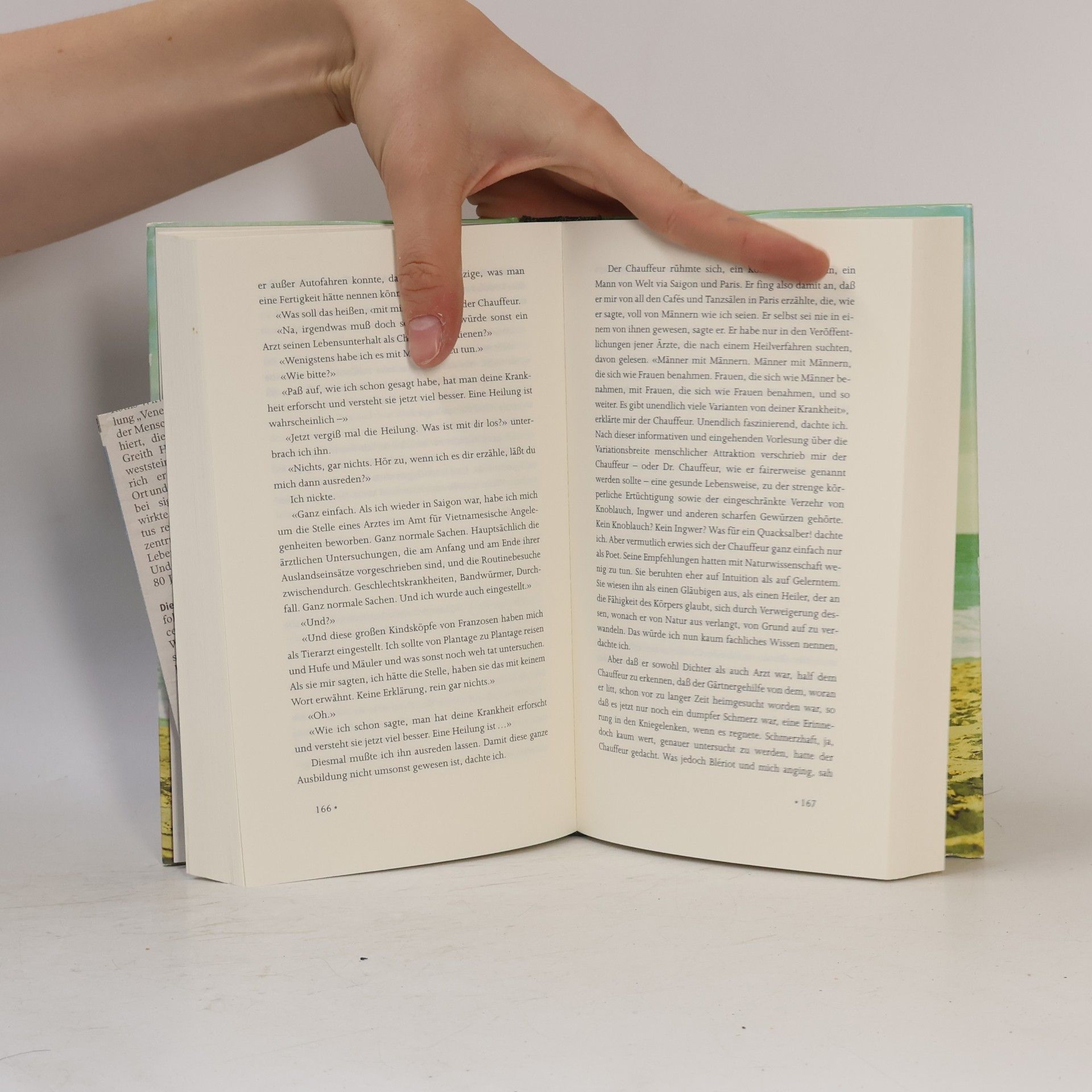 Monique Truong Das Buch vom Salz