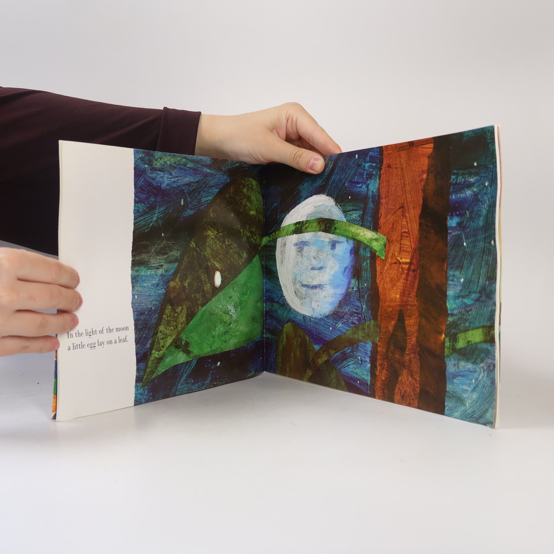Eric Carle The very hungry caterpillar