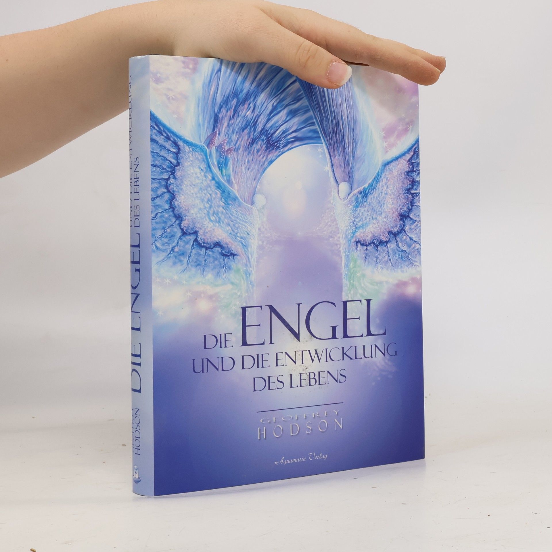 Die Engel und die Entwicklung des Lebens